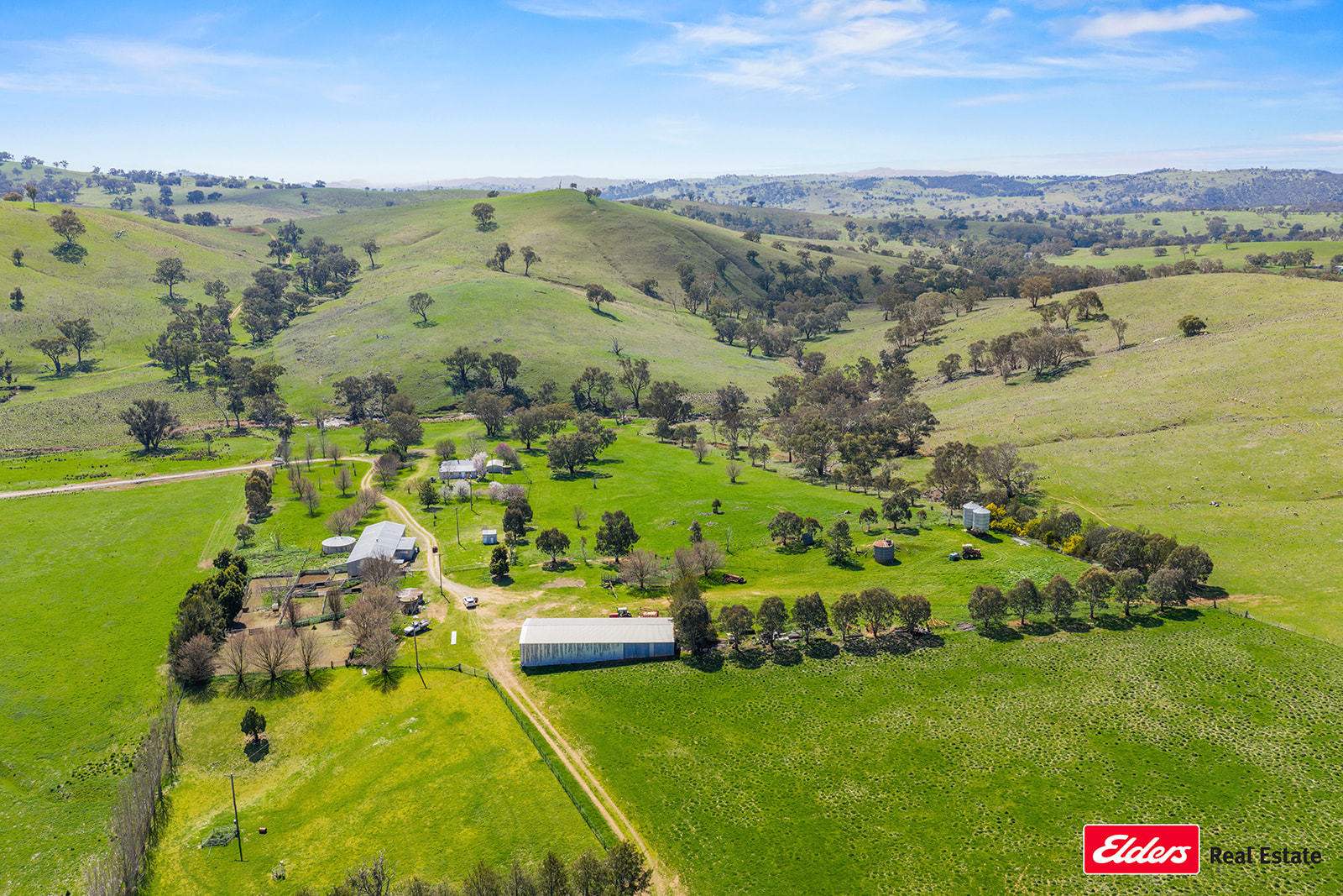 Boorowa Auction by Farmbuy.com - image 21