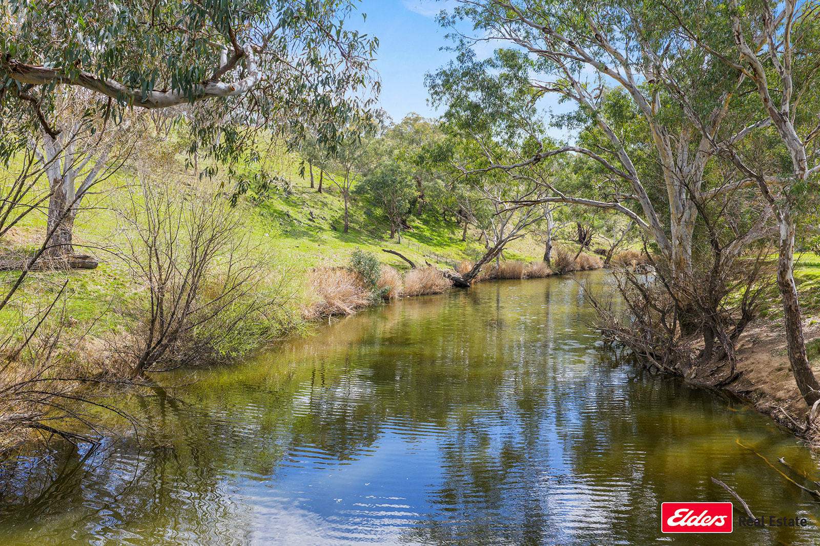 Boorowa Auction by Farmbuy.com - image 3