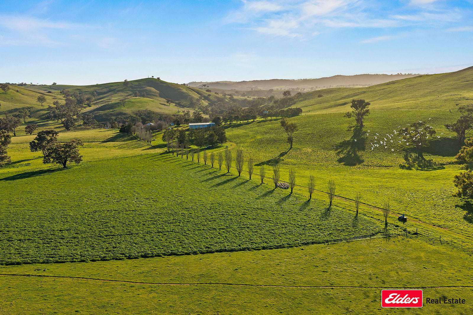 Boorowa Auction by Farmbuy.com - image 1