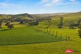 Boorowa Auction by Elders Real Estate Young