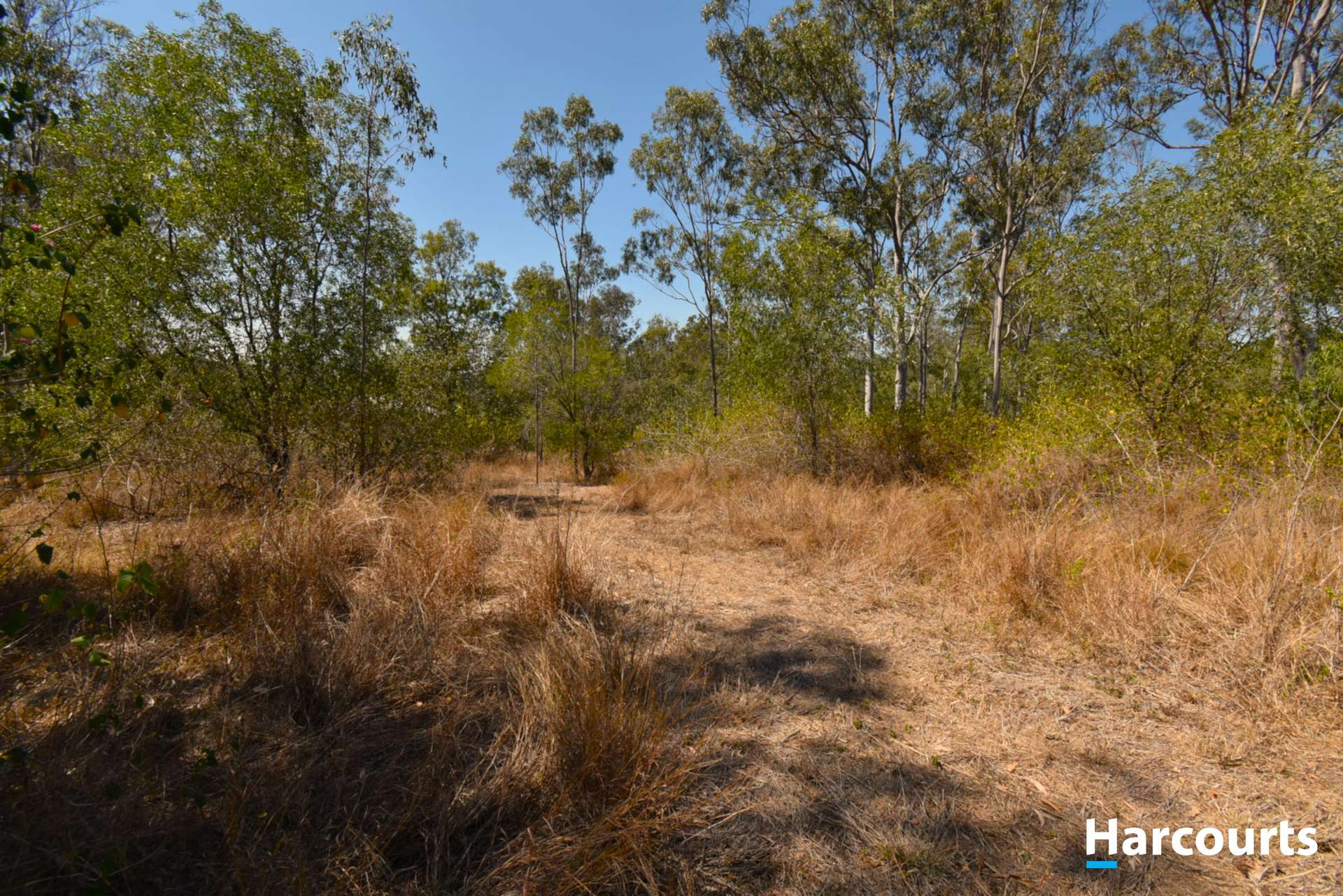 293 Duckpond Road, Moolboolaman Sold by Farmbuy.com - image 13