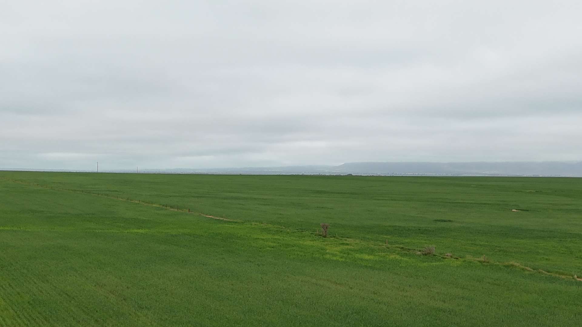 26 Amyton Road, Willowie For Sale by Farmbuy.com - image 20