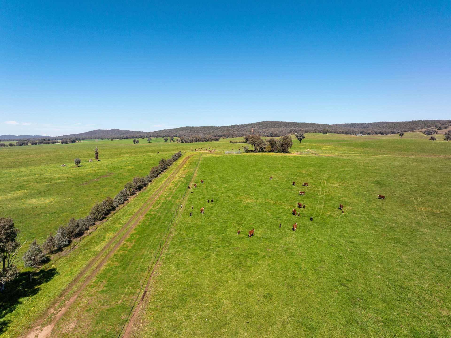 25 Wrigleys Road, Big Springs For Sale by Farmbuy.com - image 7
