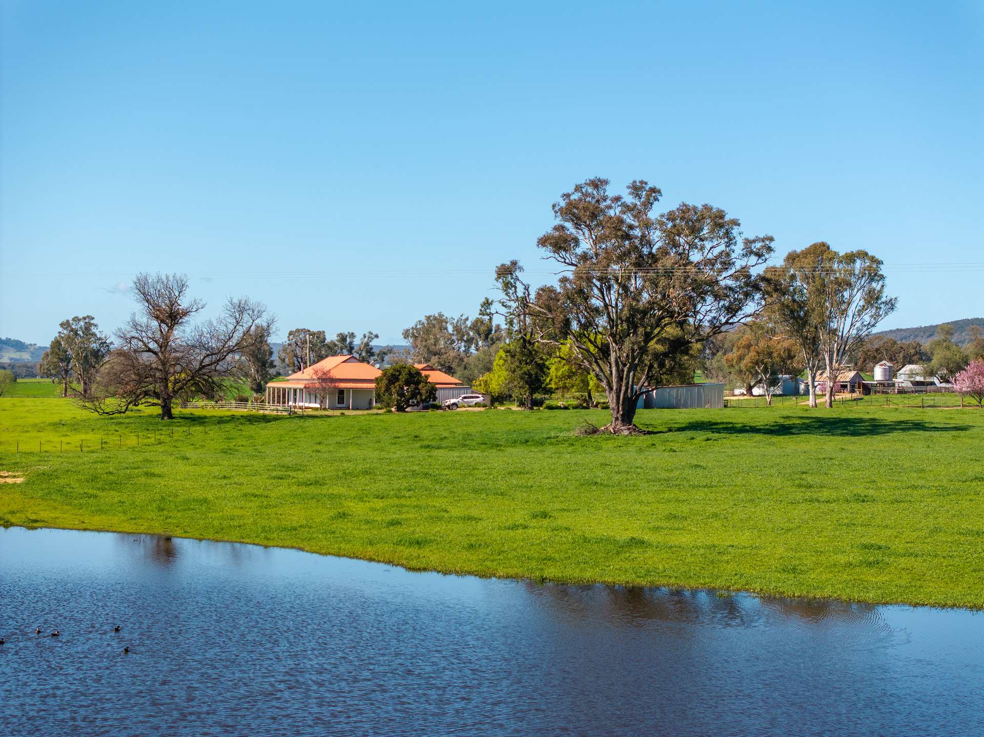 25 Wrigleys Road, Big Springs For Sale by Farmbuy.com - image 7