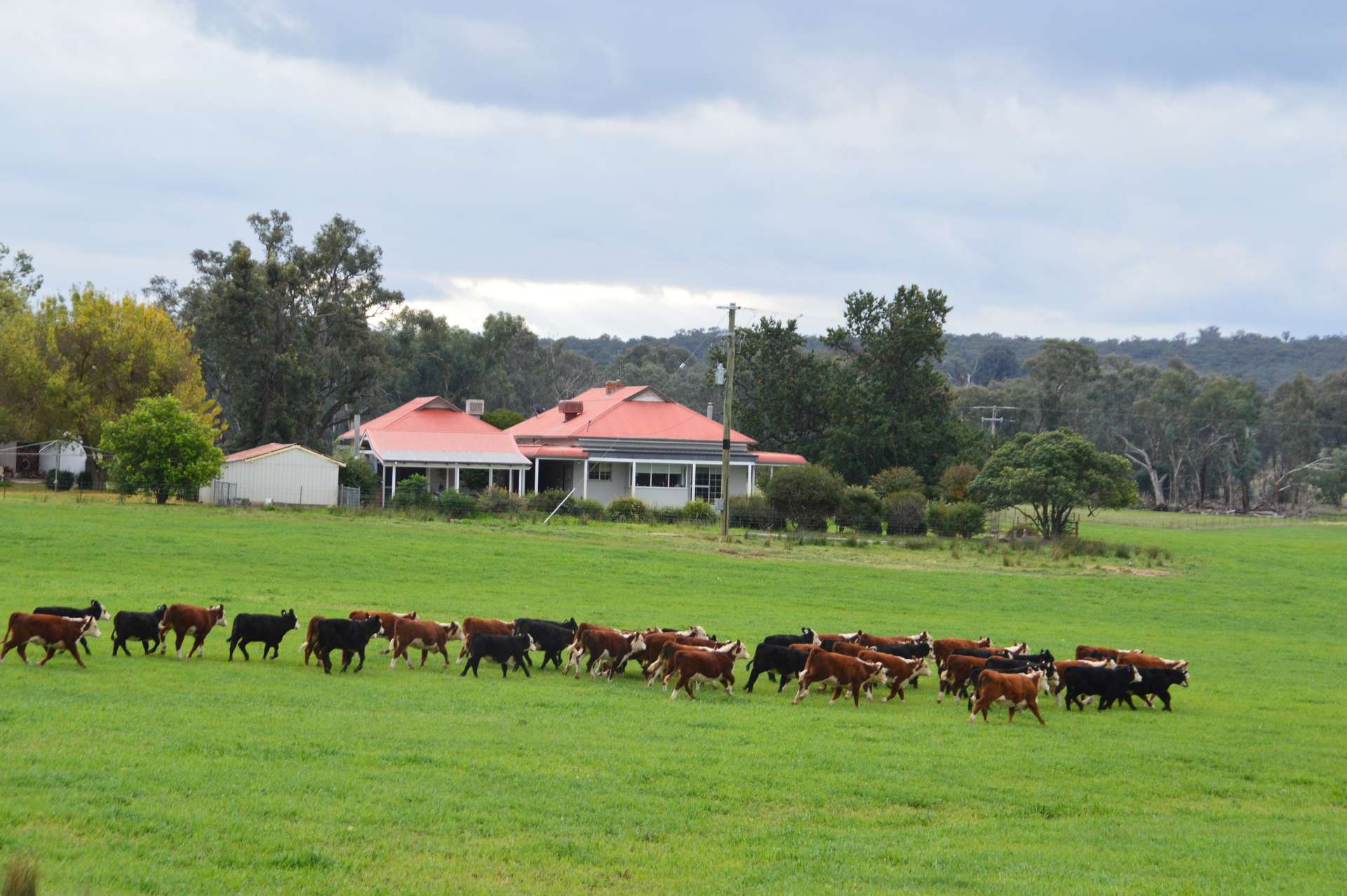 25 Wrigleys Road, Big Springs For Sale by Farmbuy.com - image 2