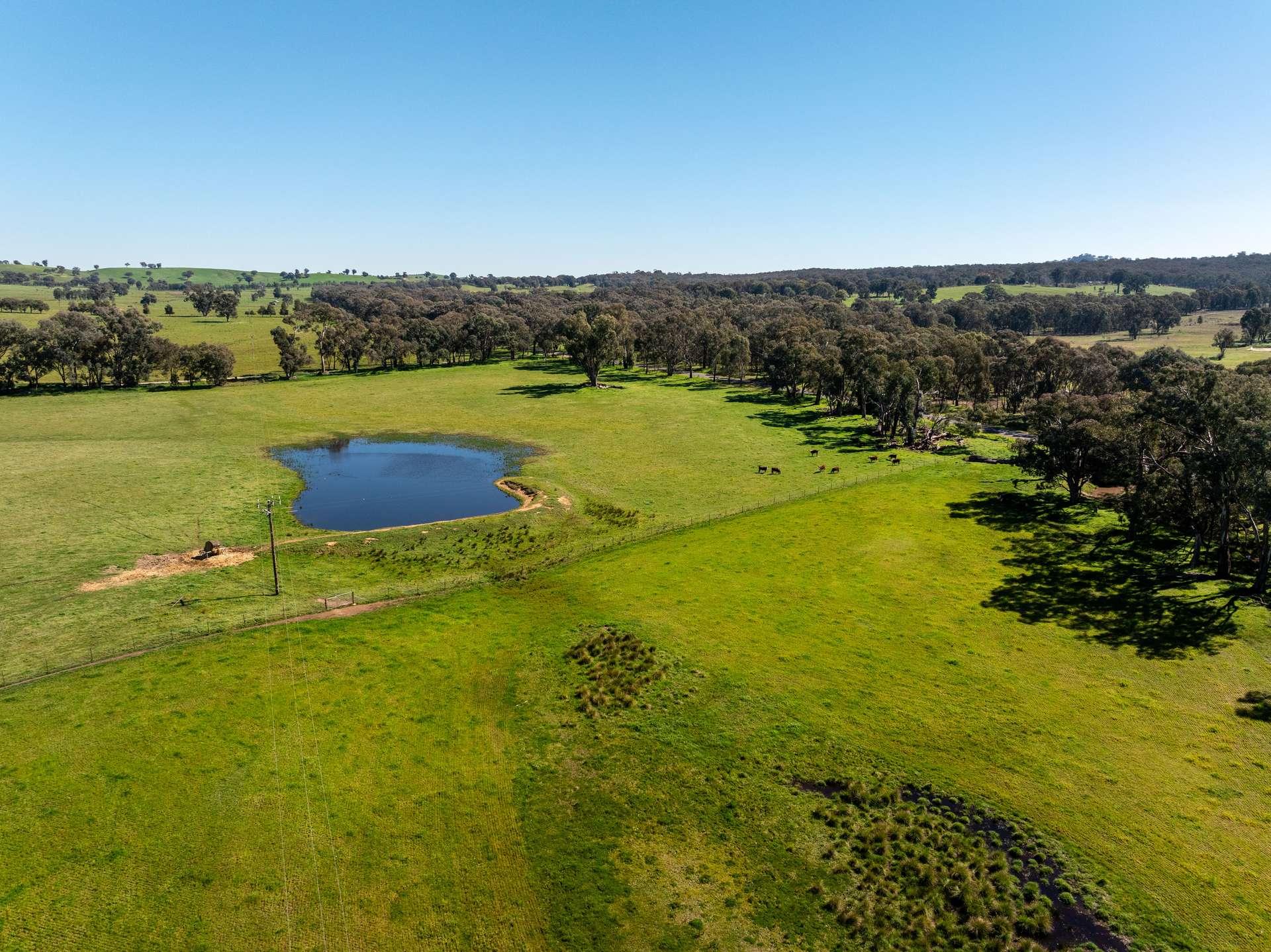 25 Wrigleys Road, Big Springs For Sale by Farmbuy.com - image 6