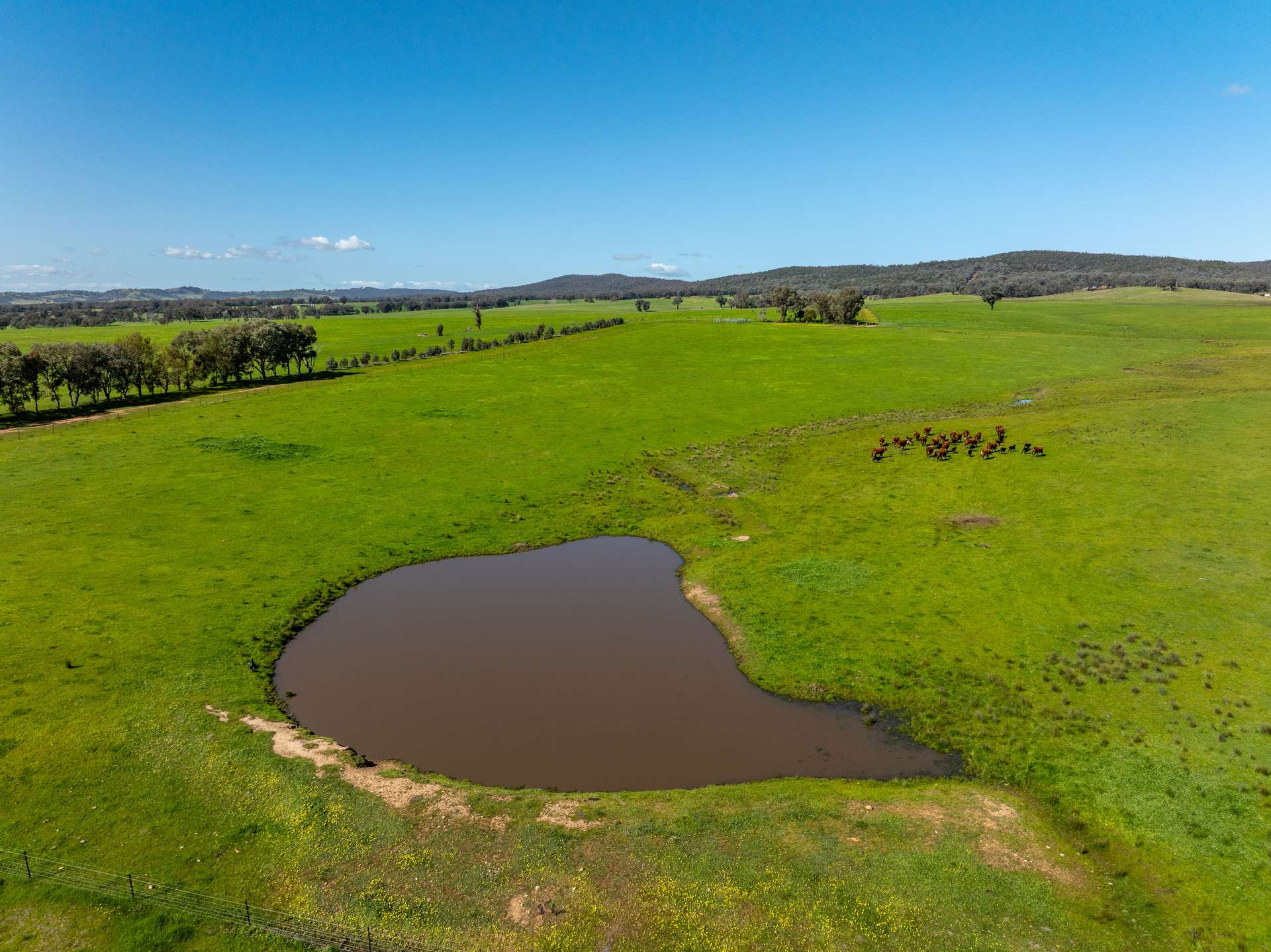 25 Wrigleys Road, Big Springs For Sale by Farmbuy.com - image 27
