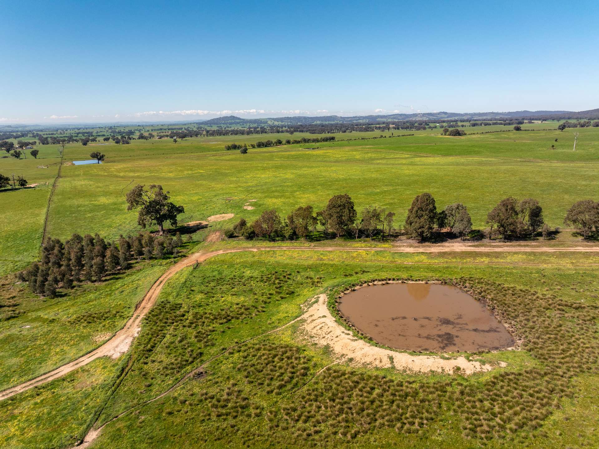 25 Wrigleys Road, Big Springs For Sale by Farmbuy.com - image 8