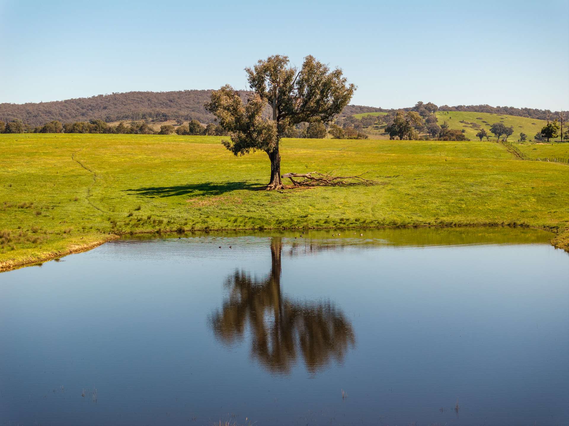 25 Wrigleys Road, Big Springs For Sale by Farmbuy.com - image 5