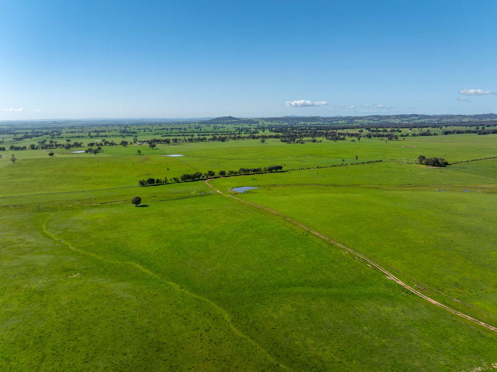 25 Wrigleys Road, Big Springs For Sale by Farmbuy.com - image 9