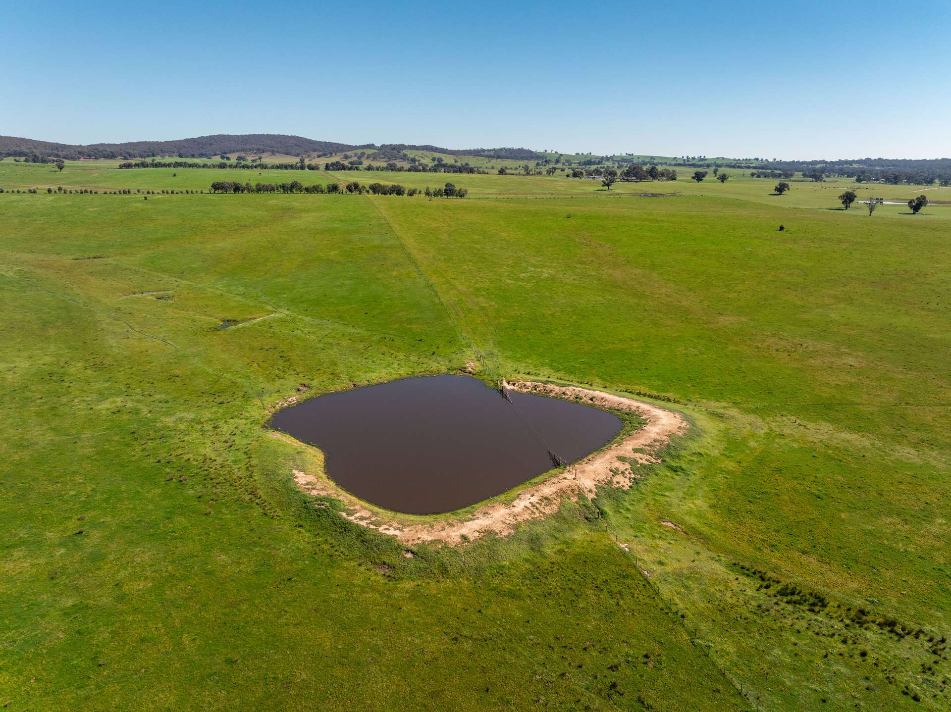 25 Wrigleys Road, Big Springs For Sale by Farmbuy.com - image 10