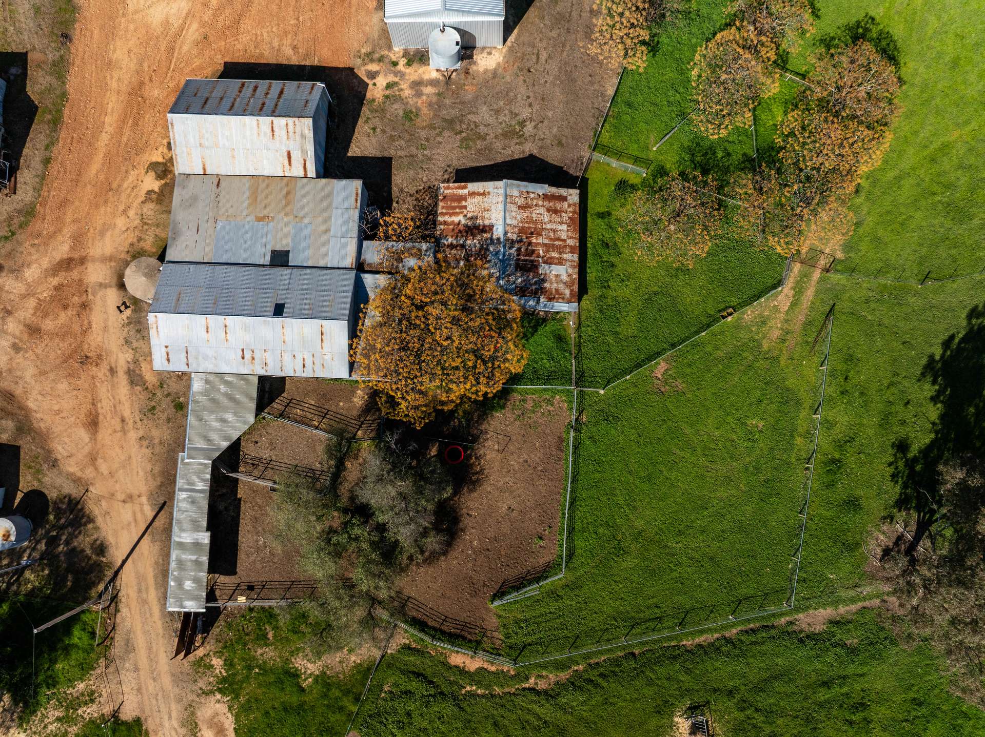 25 Wrigleys Road, Big Springs For Sale by Farmbuy.com - image 25