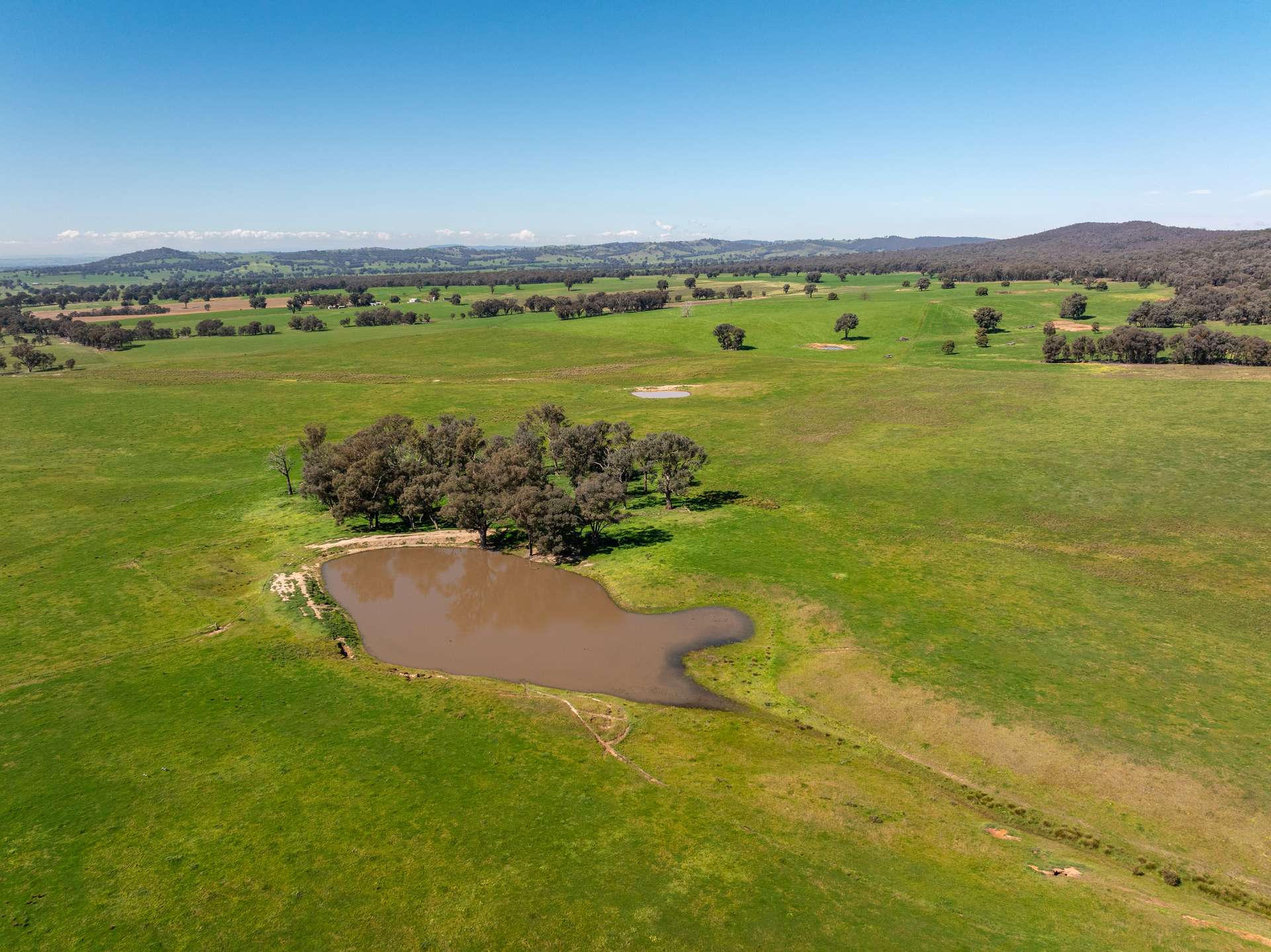 25 Wrigleys Road, Big Springs For Sale by Farmbuy.com - image 14