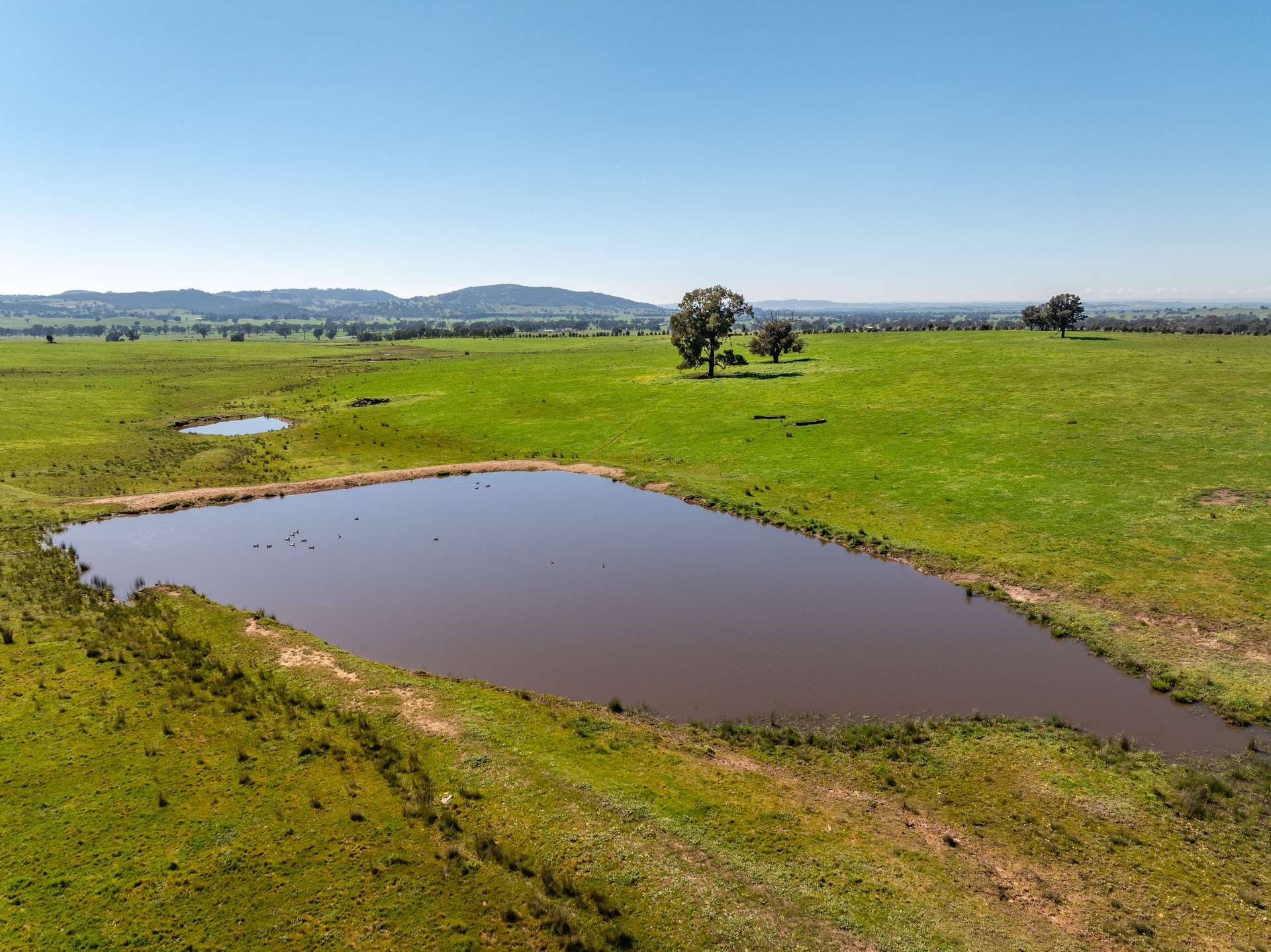 25 Wrigleys Road, Big Springs For Sale by Farmbuy.com - image 12