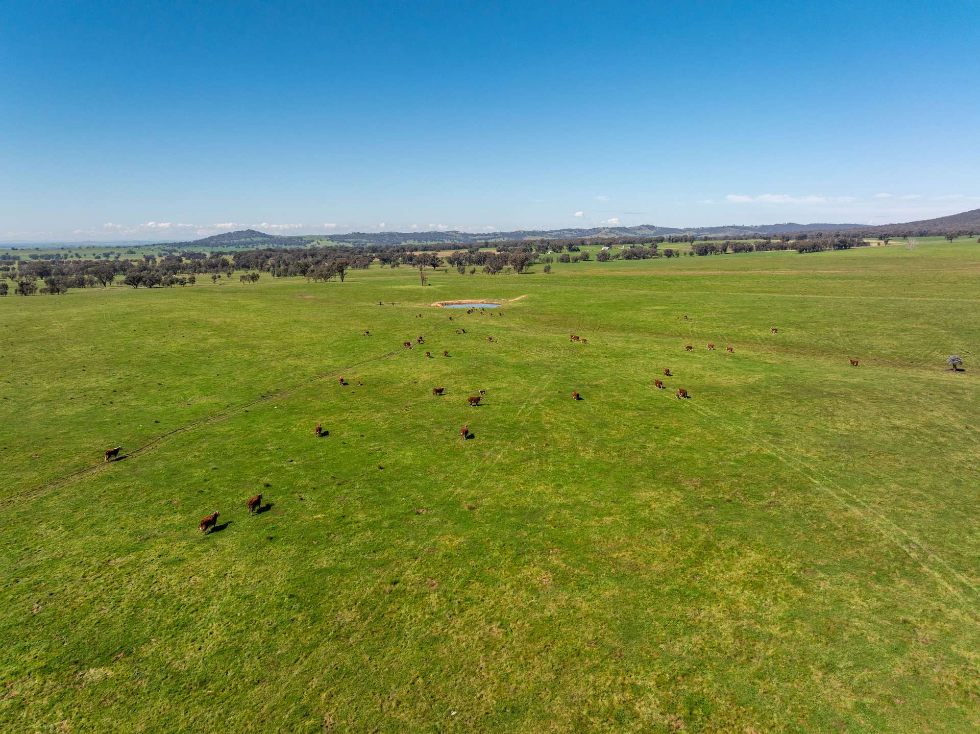 25 Wrigleys Road, Big Springs For Sale by Farmbuy.com - image 31