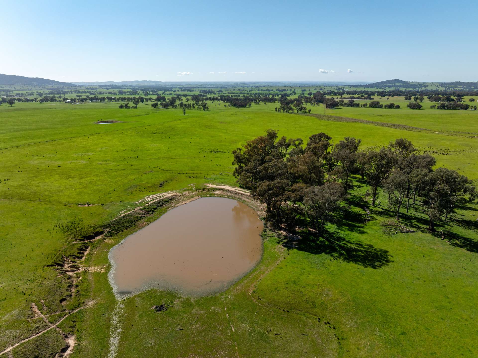 25 Wrigleys Road, Big Springs For Sale by Farmbuy.com - image 10