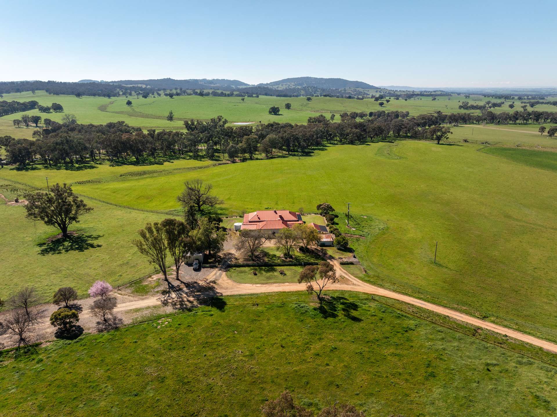 25 Wrigleys Road, Big Springs For Sale by Farmbuy.com - image 16