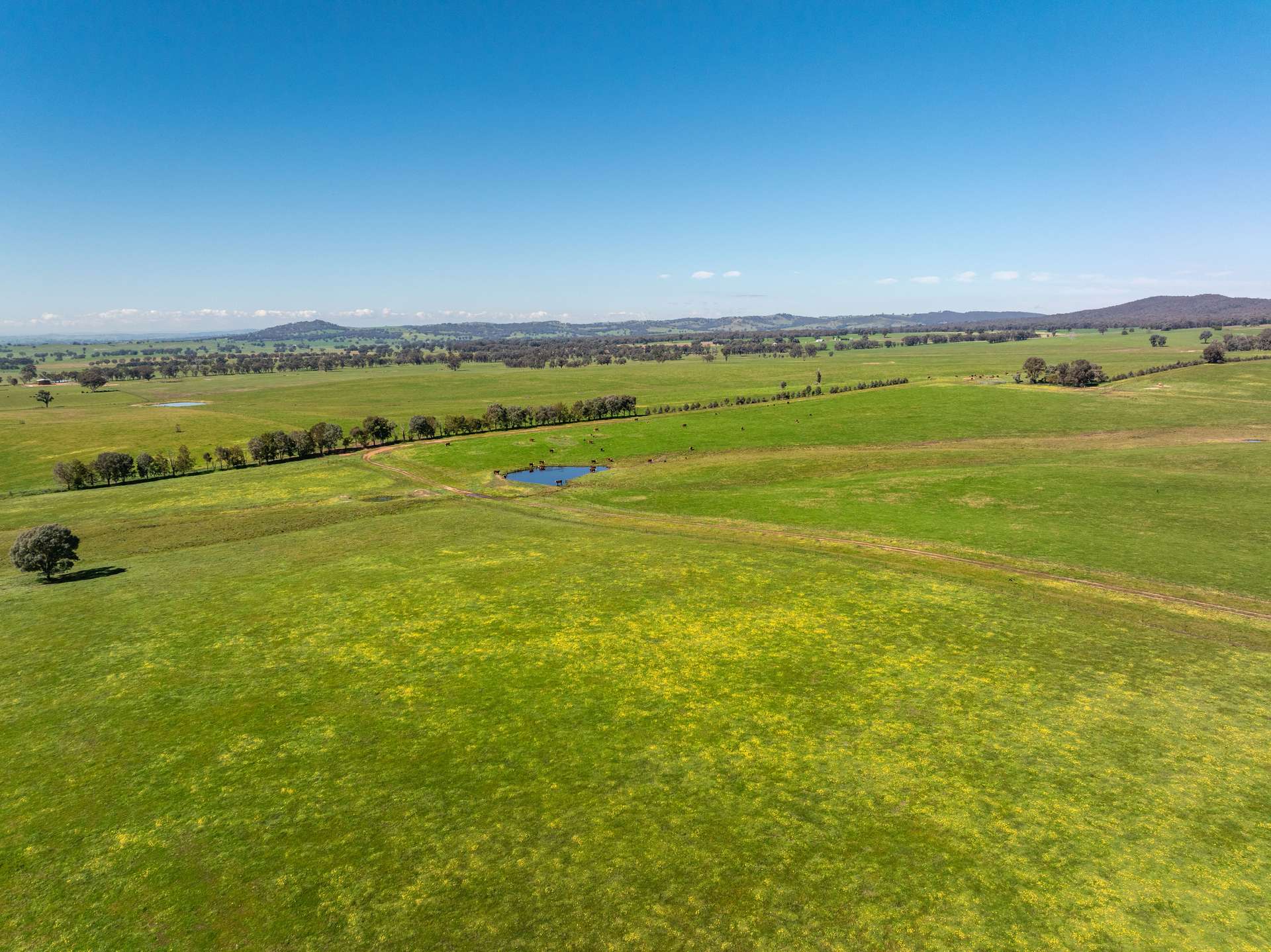 25 Wrigleys Road, Big Springs For Sale by Farmbuy.com - image 13