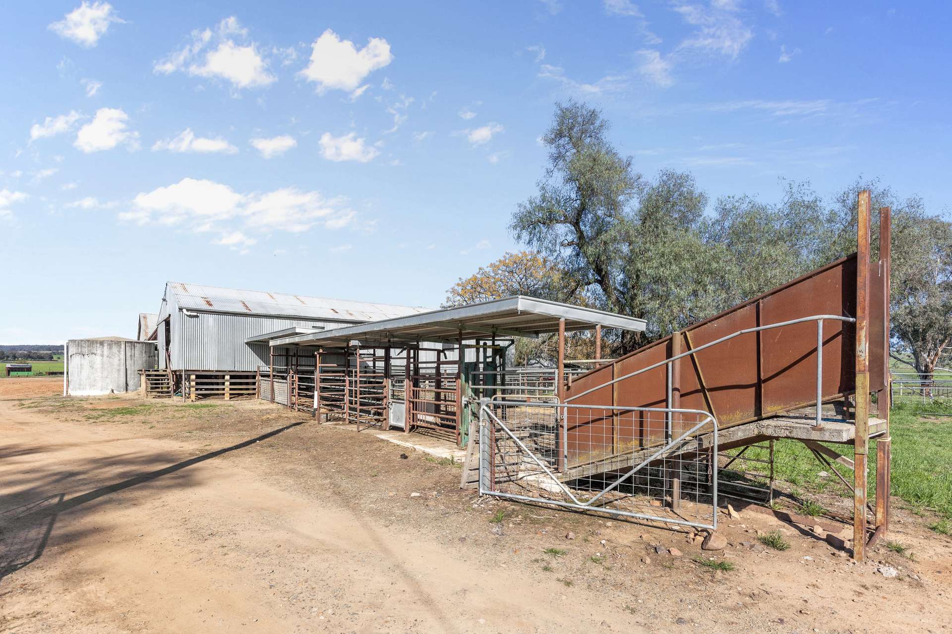 25 Wrigleys Road, Big Springs For Sale by Farmbuy.com - image 22