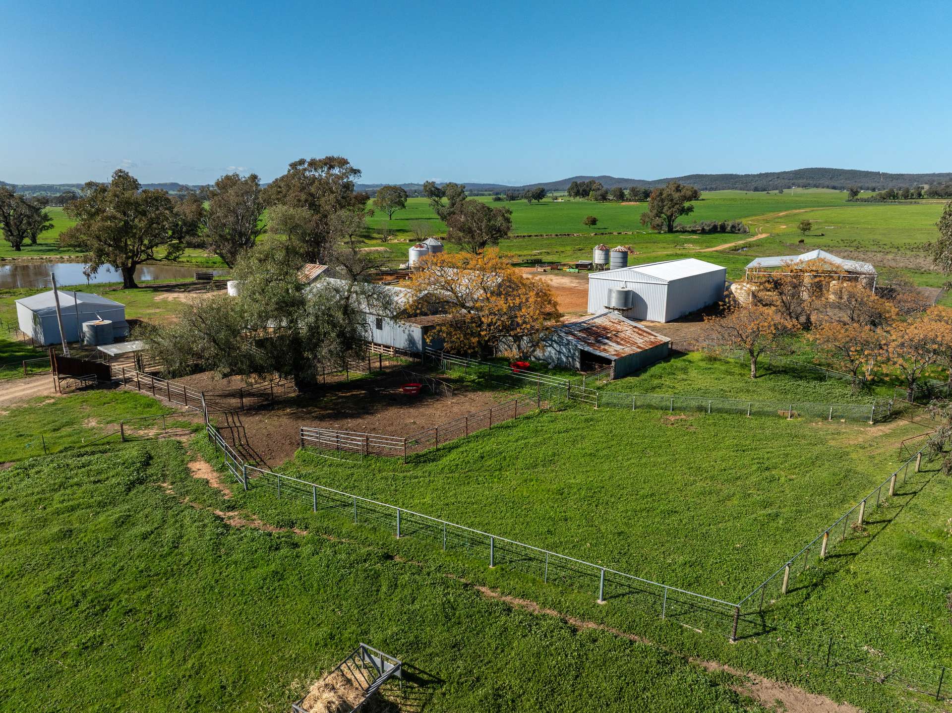 25 Wrigleys Road, Big Springs For Sale by Farmbuy.com - image 26