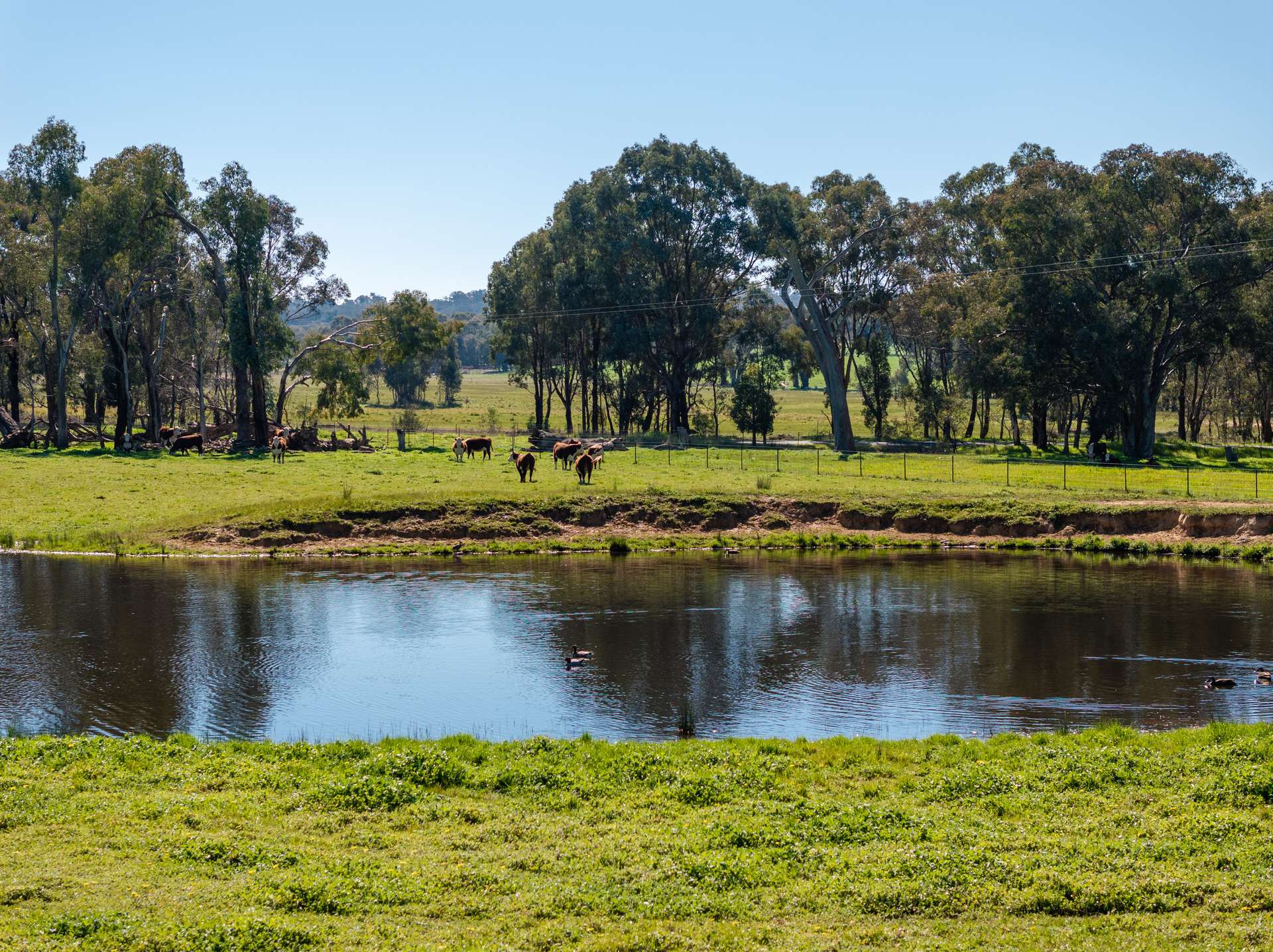 25 Wrigleys Road, Big Springs For Sale by Farmbuy.com - image 2