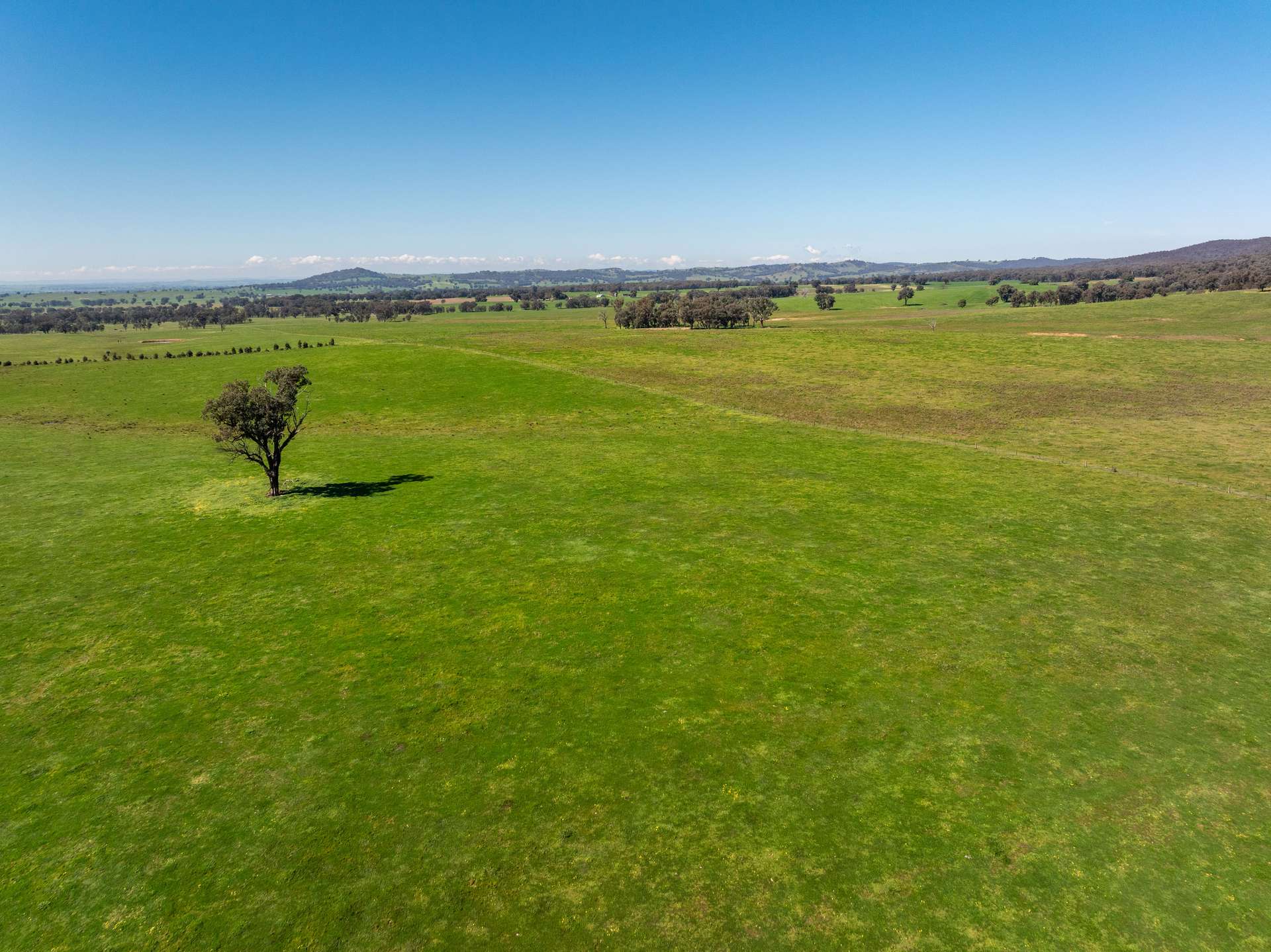 25 Wrigleys Road, Big Springs For Sale by Farmbuy.com - image 11