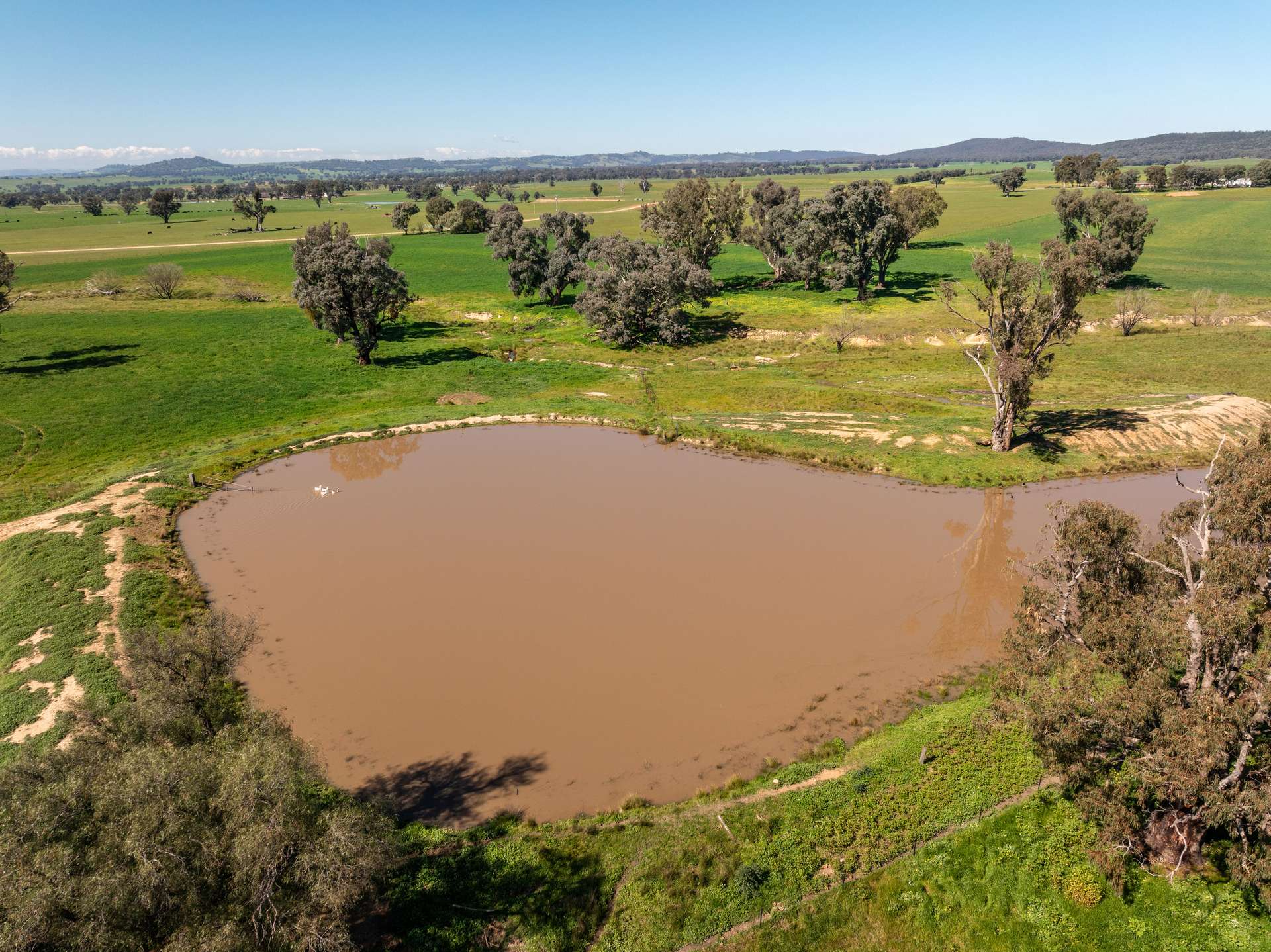 25 Wrigleys Road, Big Springs For Sale by Farmbuy.com - image 24
