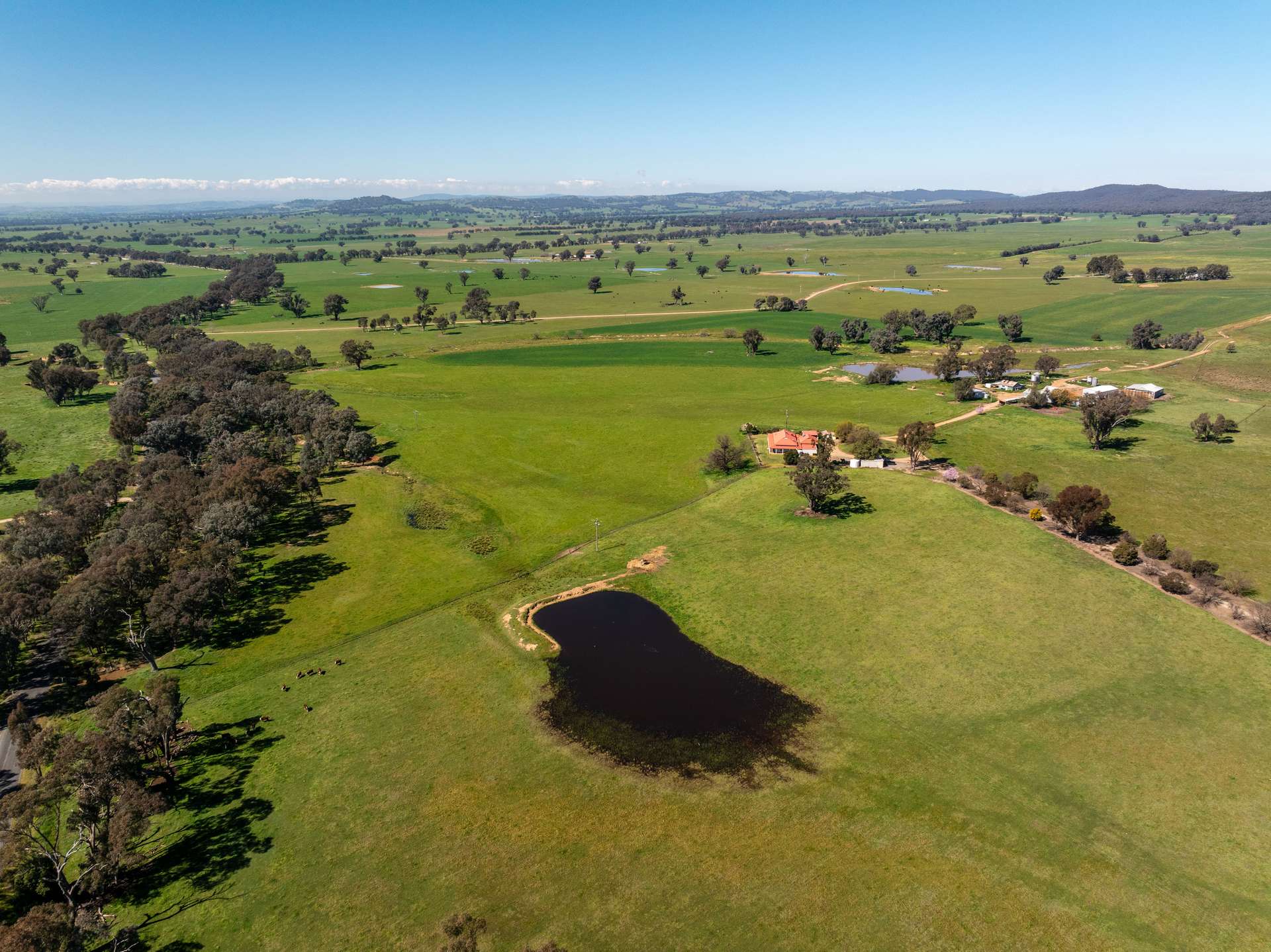 25 Wrigleys Road, Big Springs For Sale by Farmbuy.com - image 1