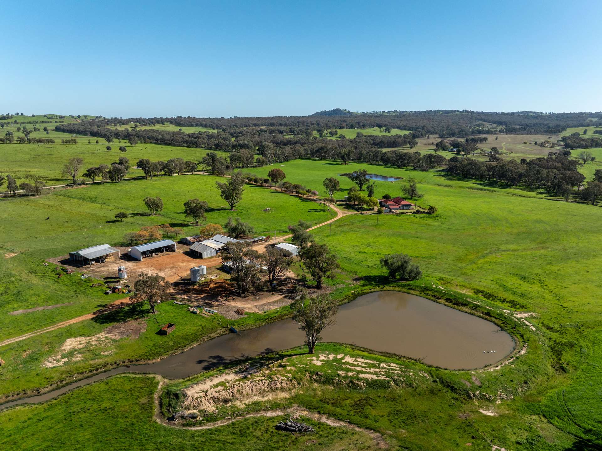 25 Wrigleys Road, Big Springs For Sale by Farmbuy.com - image 8