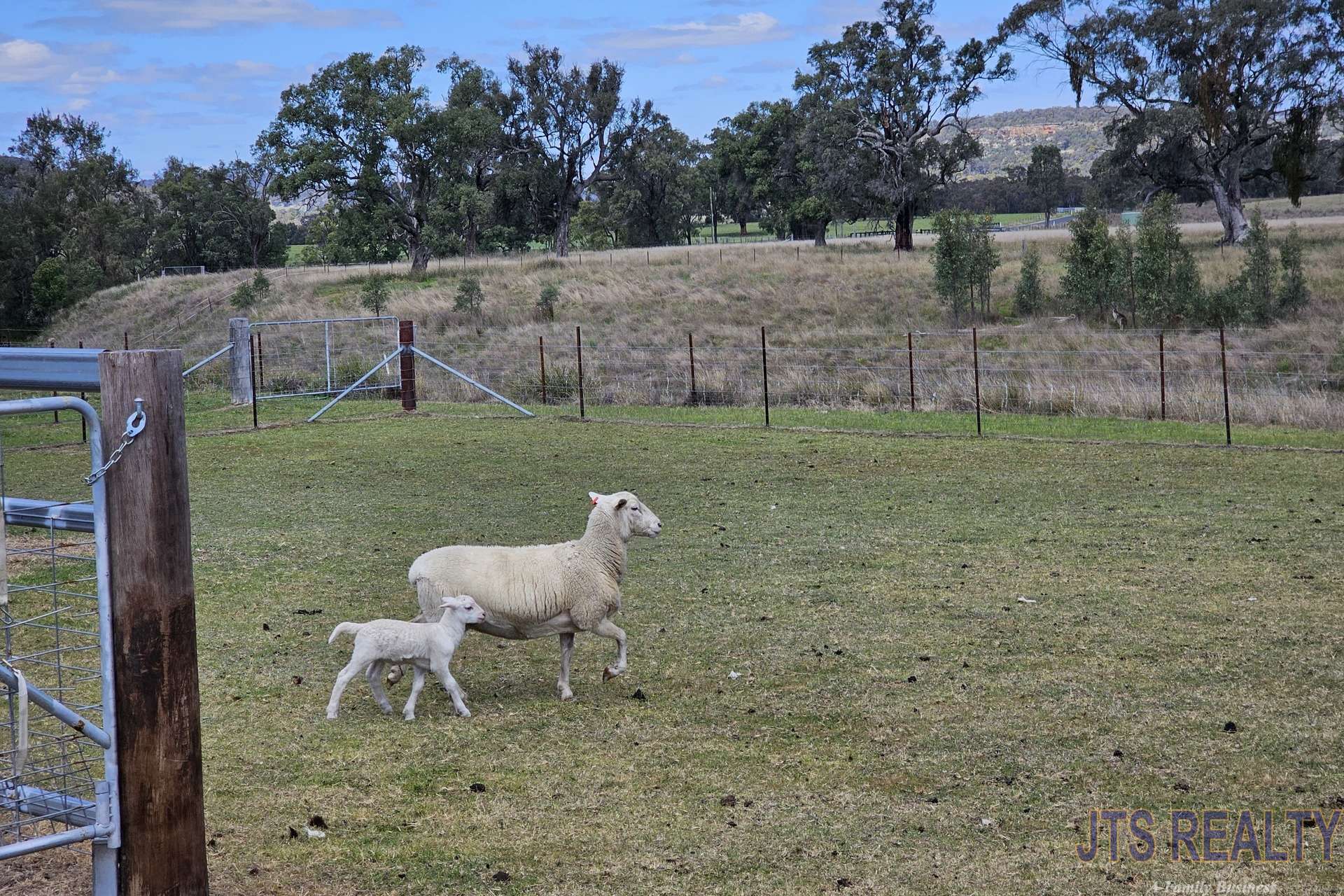 882 Cullingral Road, Merriwa Sold by Farmbuy.com - image 22