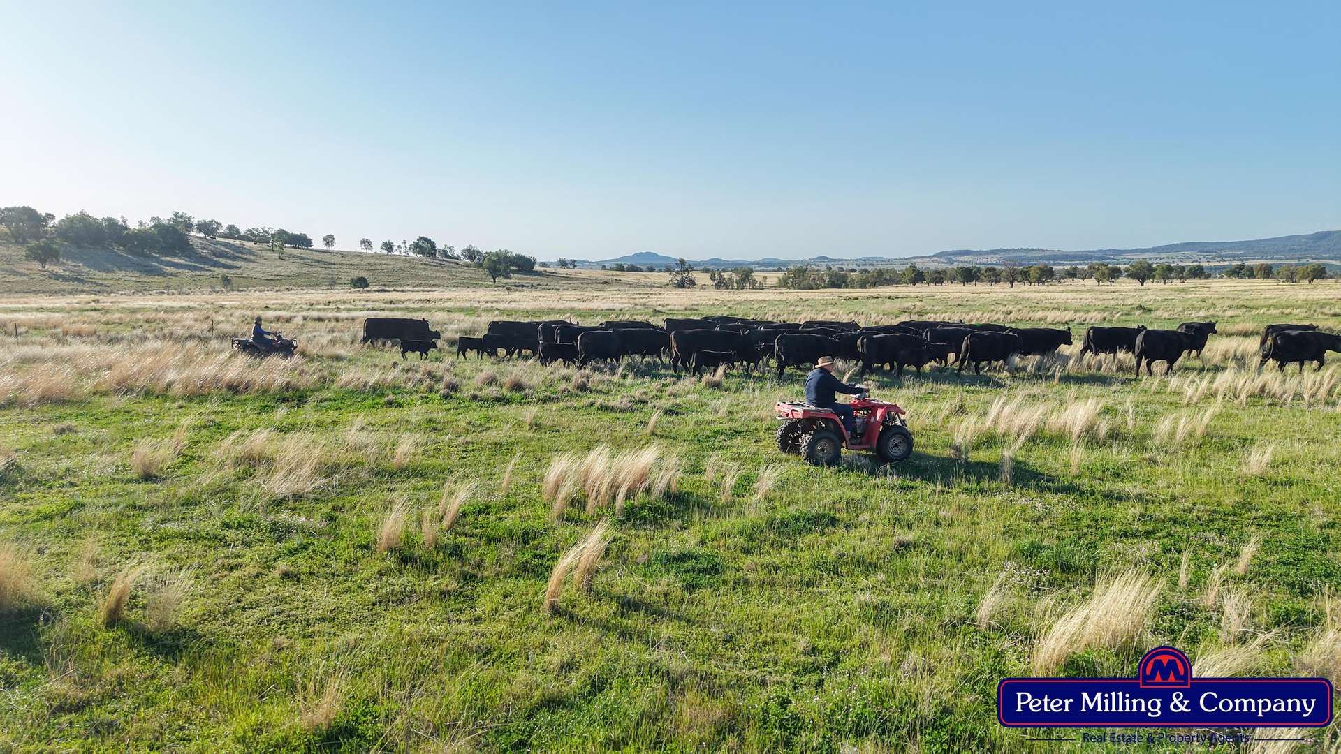 'Top Walga' 281 Top Walga Road,, Warrumbungle Sold by Farmbuy.com - image 15
