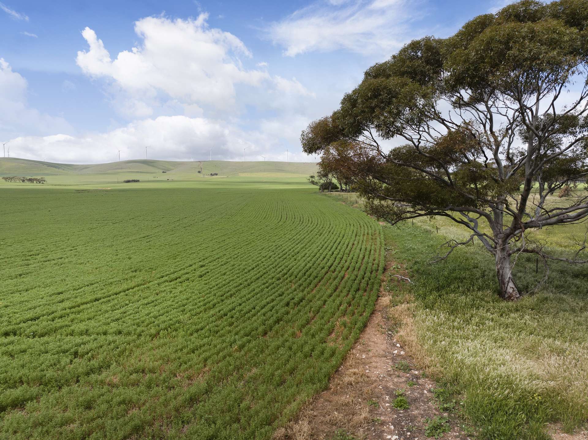 'Stringers' Ireland Road, Mundoora Sold by Farmbuy.com - image 16