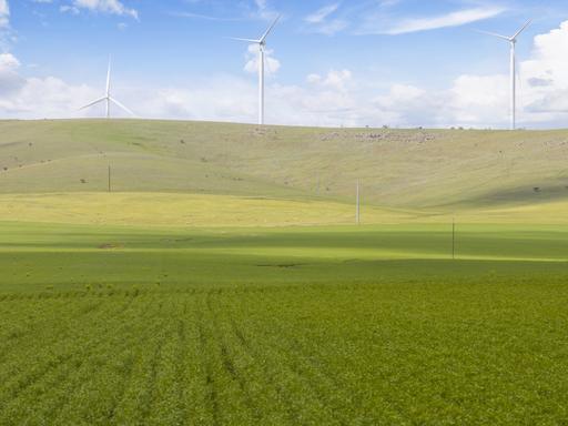 Farm Sold - SA - Mundoora - 5555 - Mundoora District Opportunity - First Time to Market in 60 Years 