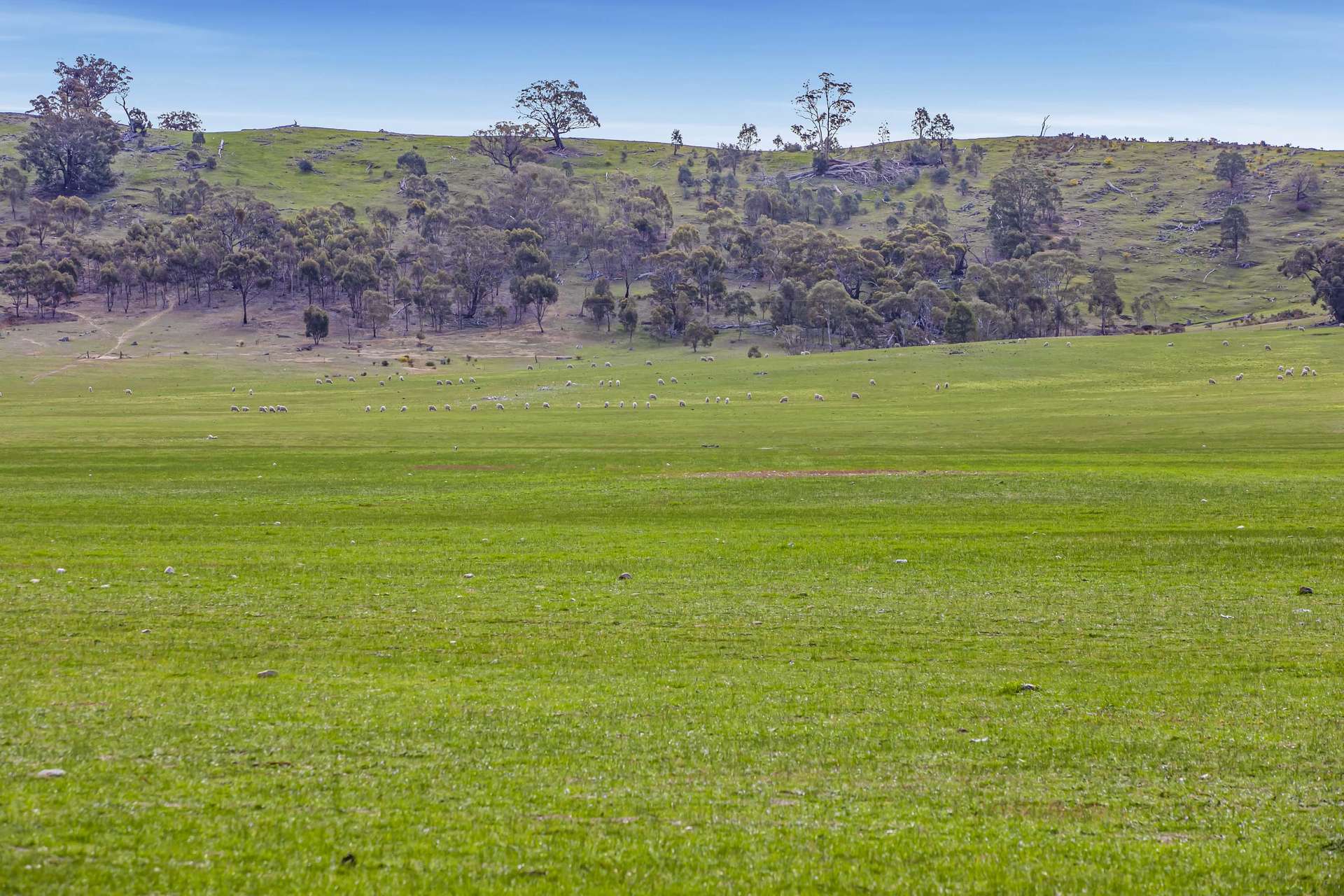 441 Frenchmans - St Arnaud Road, Barkly For Sale by Farmbuy.com - image 18