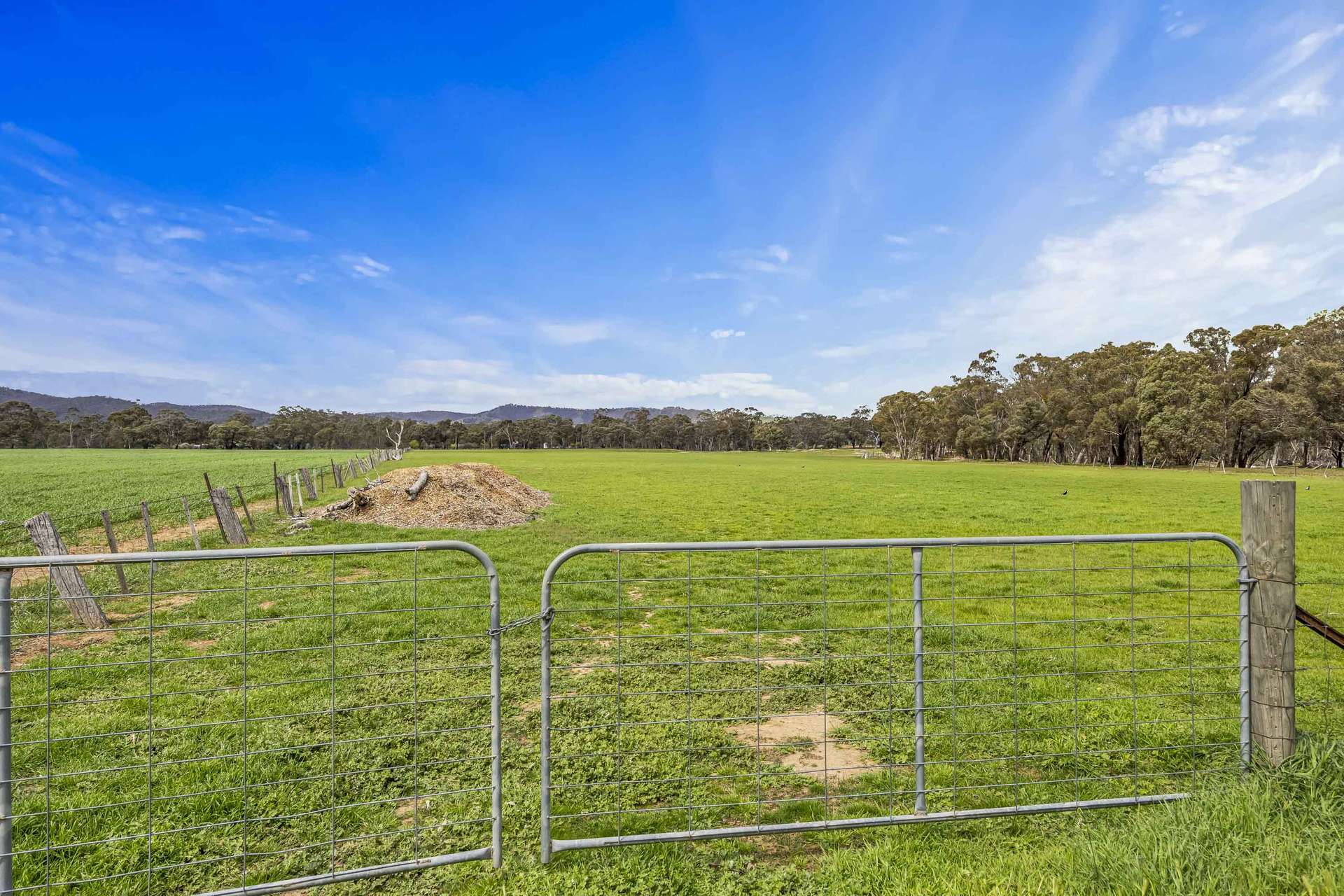 441 Frenchmans - St Arnaud Road, Barkly For Sale by Farmbuy.com - image 5