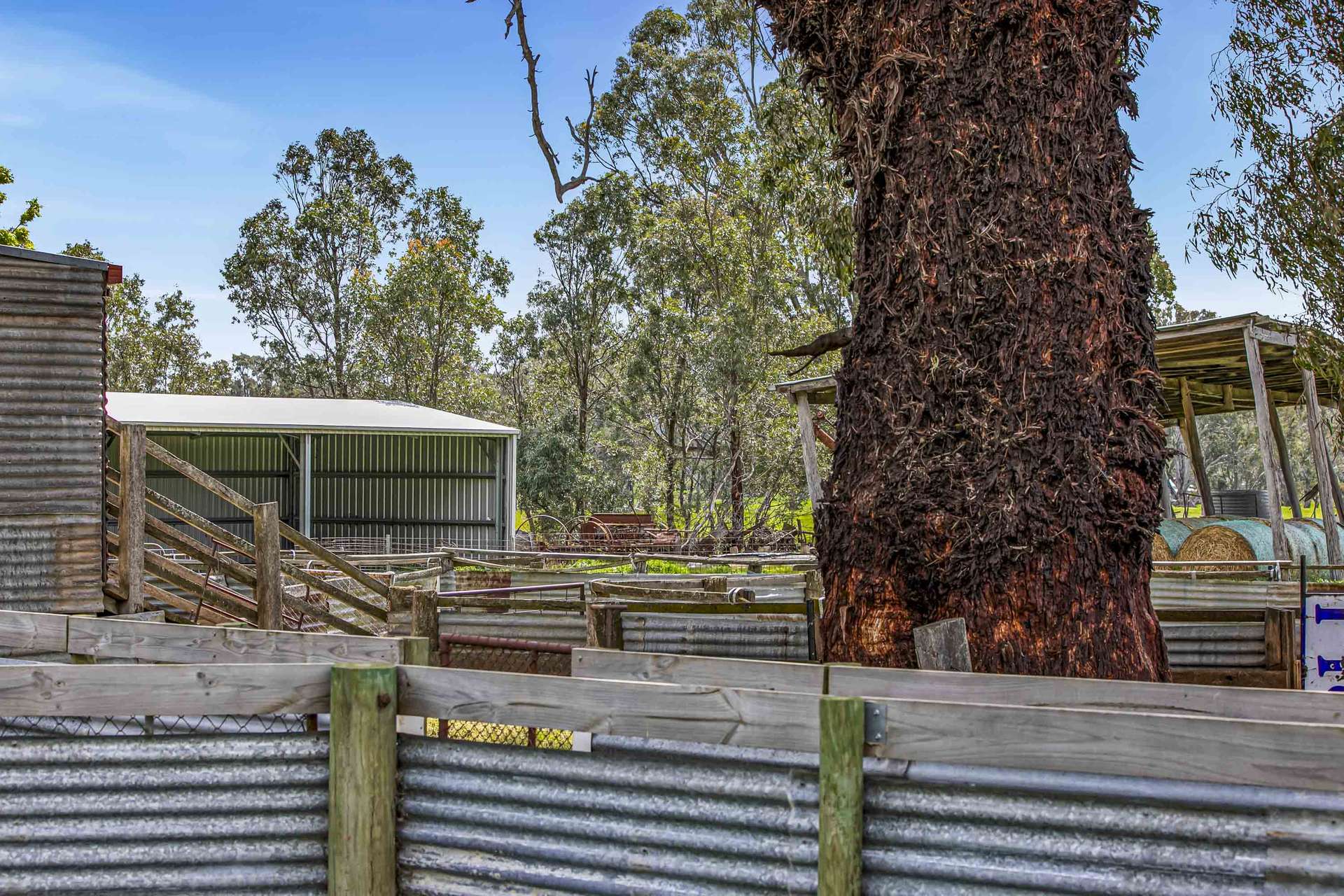 441 Frenchmans - St Arnaud Road, Barkly For Sale by Farmbuy.com - image 13
