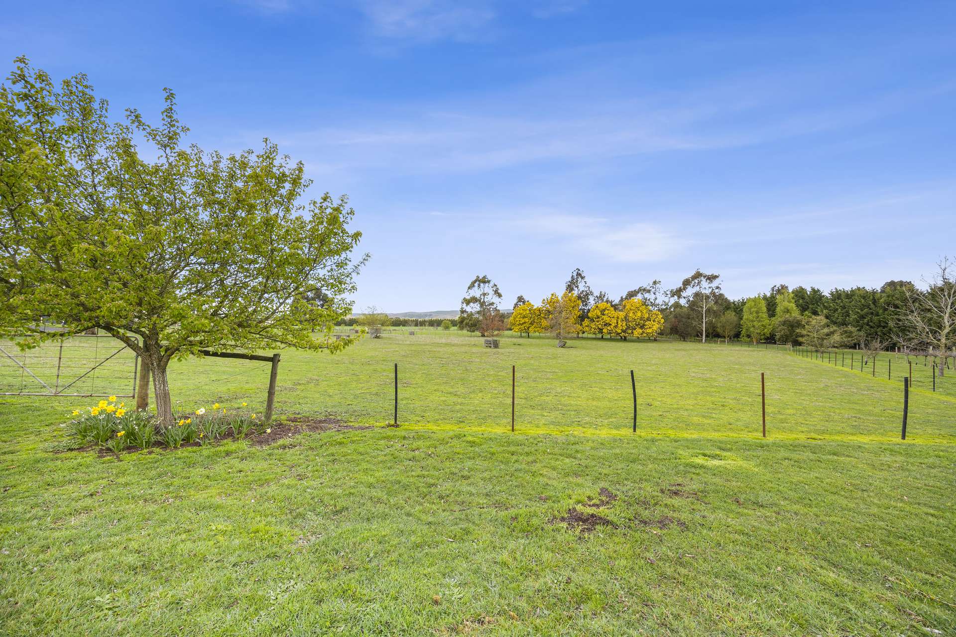 34 Lyrebird Lane, Miners Rest Sold by Farmbuy.com - image 20