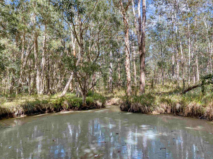 38 Trotter Road, Glenwood Sold by Farmbuy.com - image 6