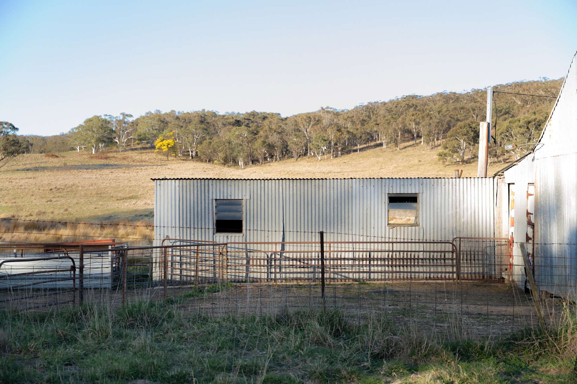 785 Thornford Road, Goulburn For Sale by Farmbuy.com - image 4