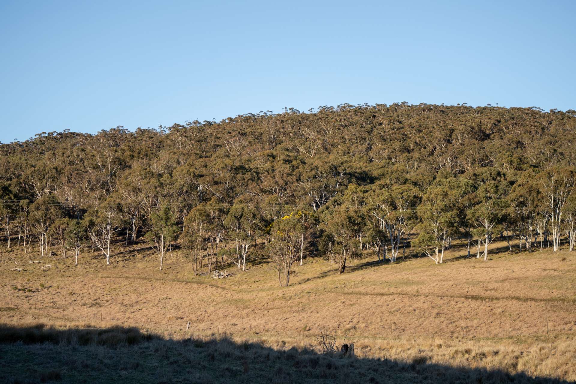 785 Thornford Road, Goulburn For Sale by Farmbuy.com - image 12