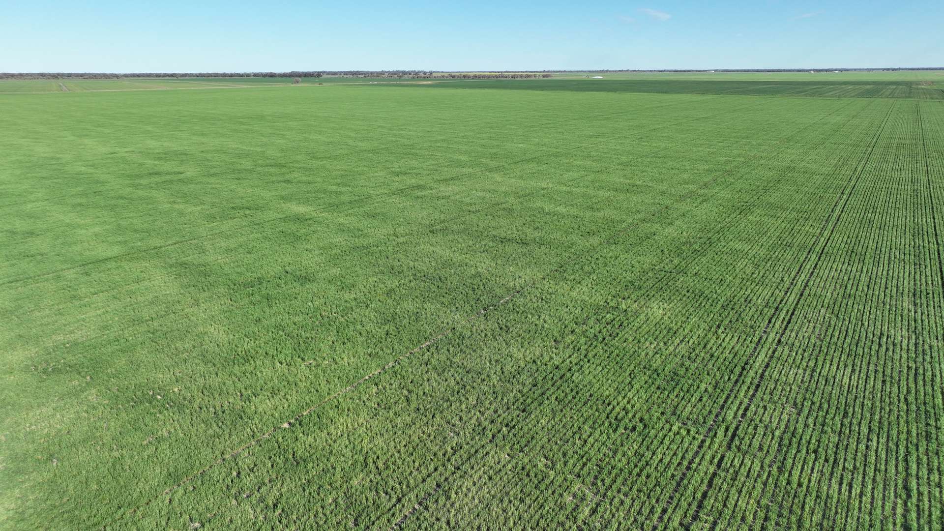 "North Devon" Dalys Road, Deniliquin For Sale by Farmbuy.com - image 18