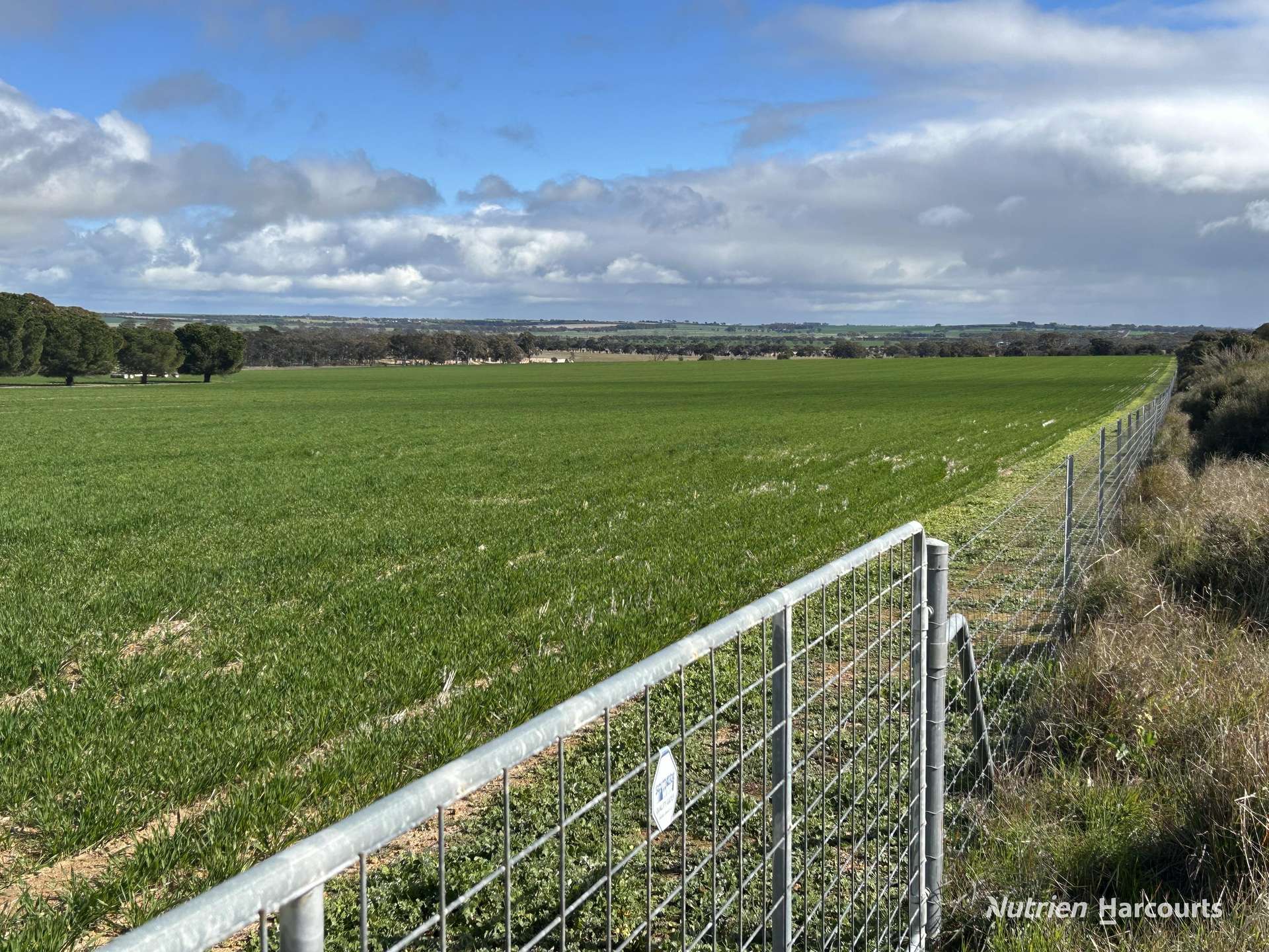 . Williams-Kulin Road, Wickepin Sold by Farmbuy.com - image 16