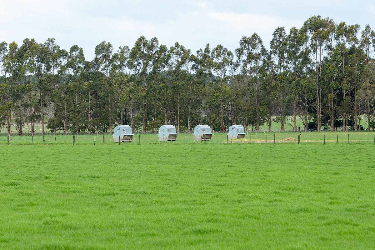 1045 Kangertong Road, Hawkesdale Sold by Farmbuy.com - image 30