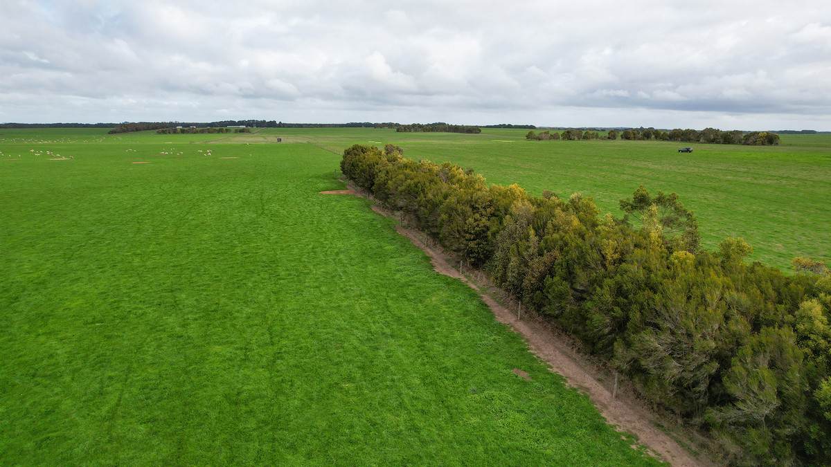 1045 Kangertong Road, Hawkesdale Sold by Farmbuy.com - image 11