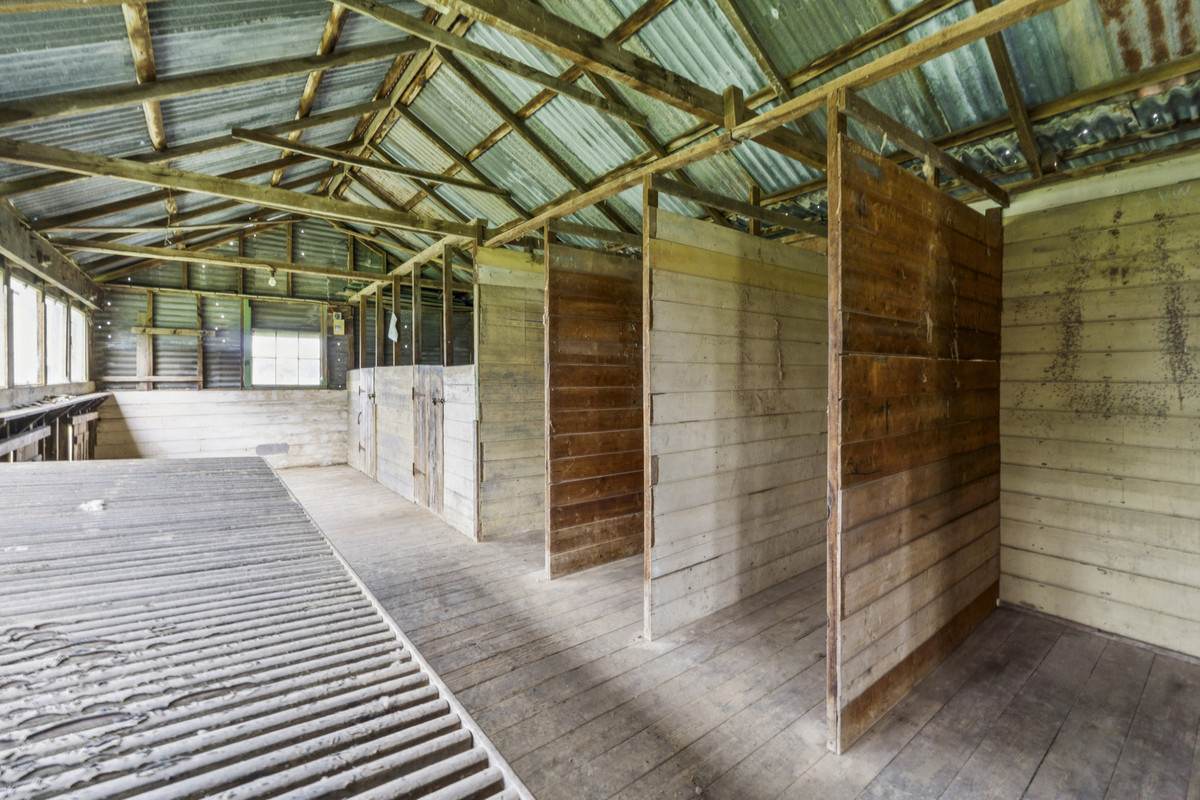 1526 Buninyong-Mt Mercer Road, Grenville For Sale by Farmbuy.com - image 7