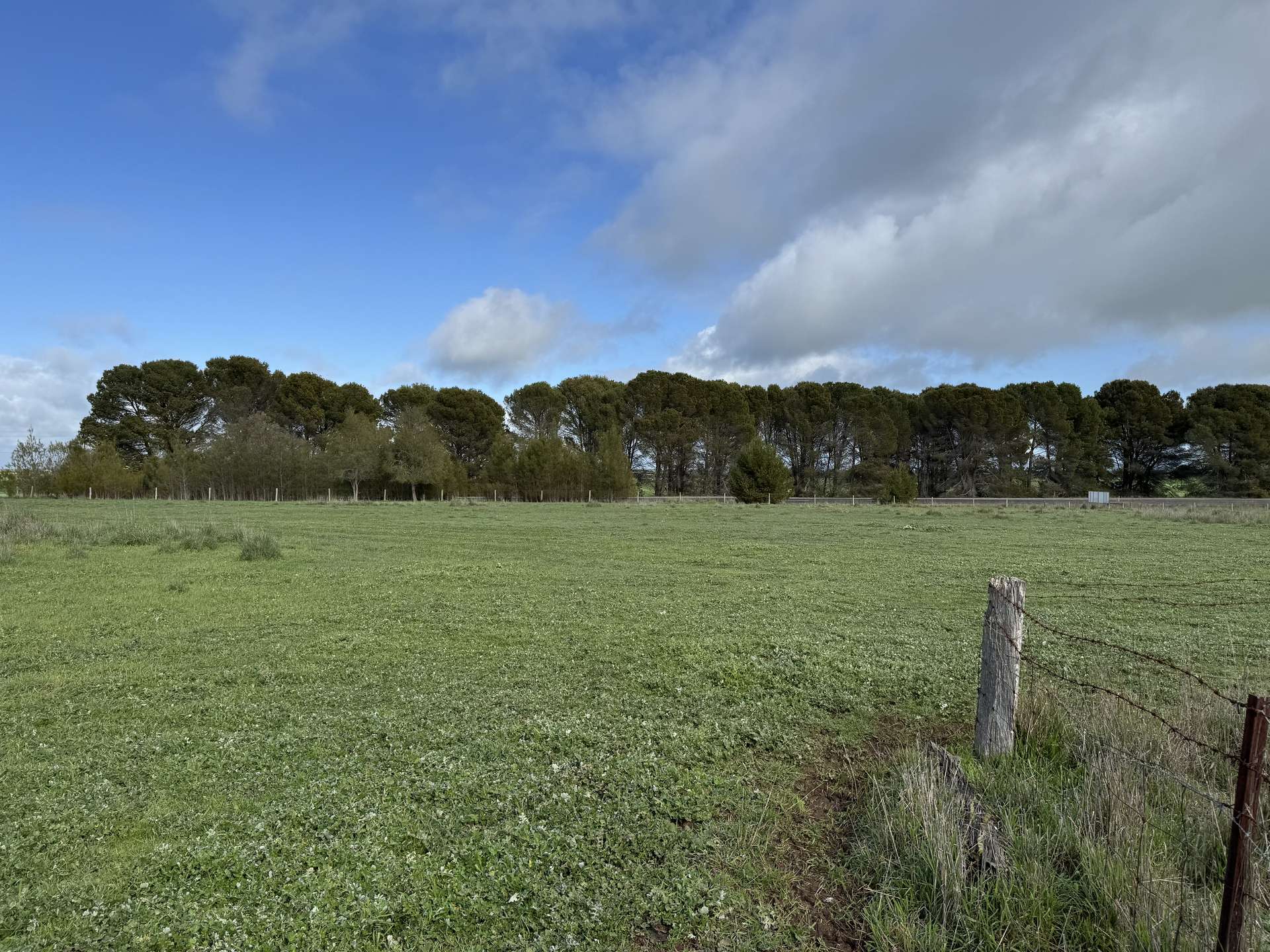 Lot 673 Riddoch Highway, Naracoorte Sold by Farmbuy.com - image 3