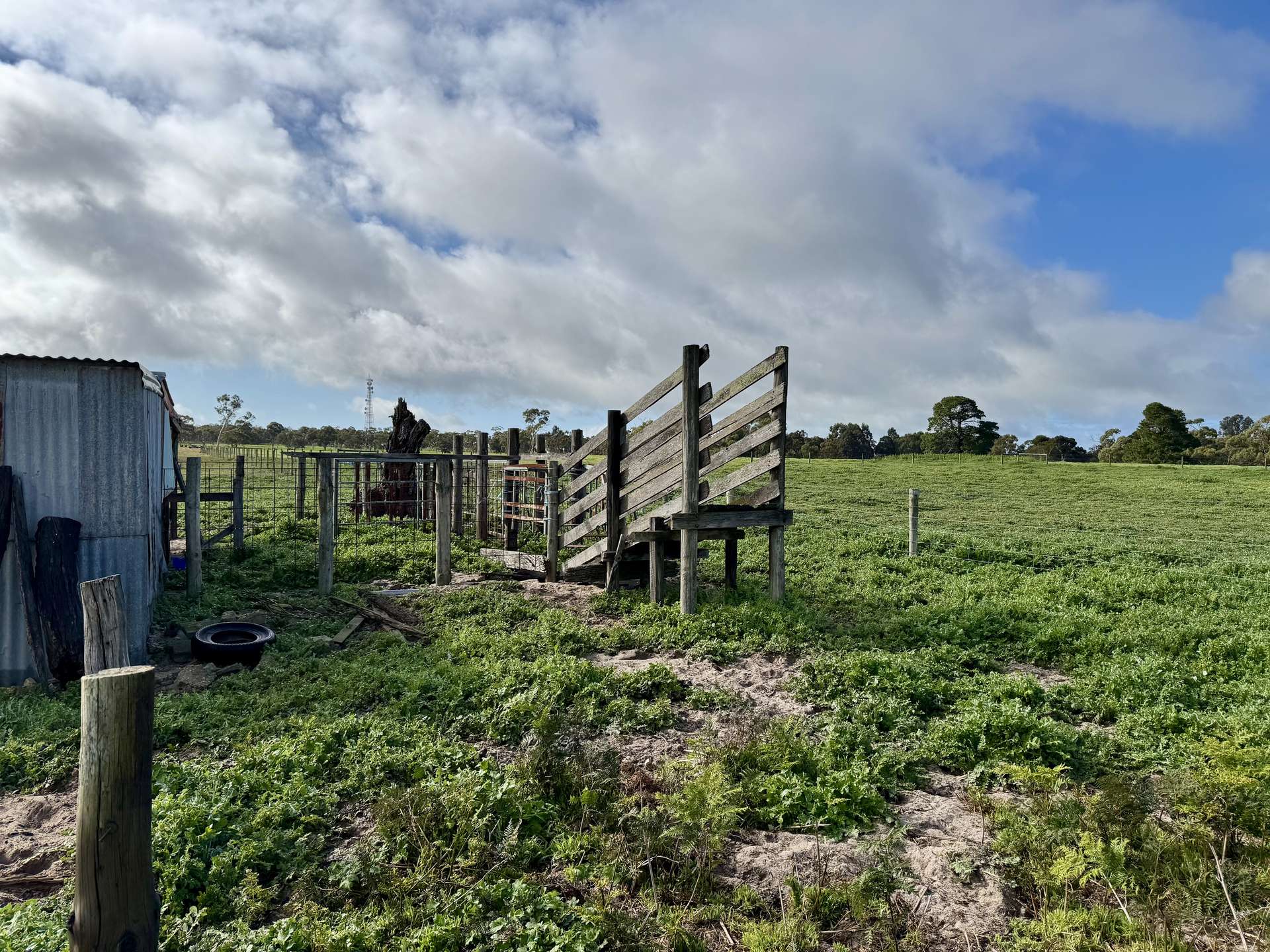 Lot 673 Riddoch Highway, Naracoorte Sold by Farmbuy.com - image 6