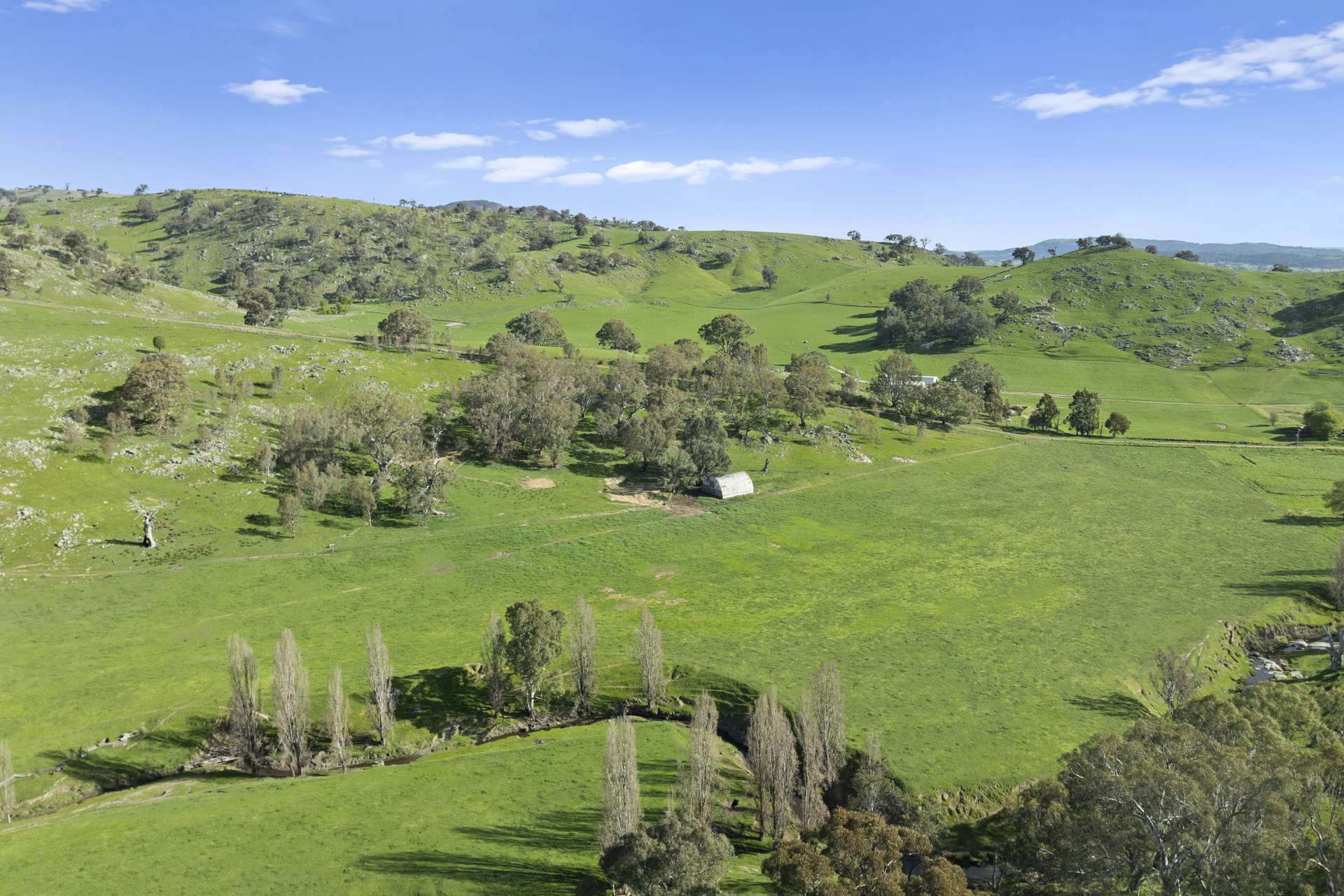 Sugarloaf Road, Sheans Creek For Sale by Farmbuy.com - image 3