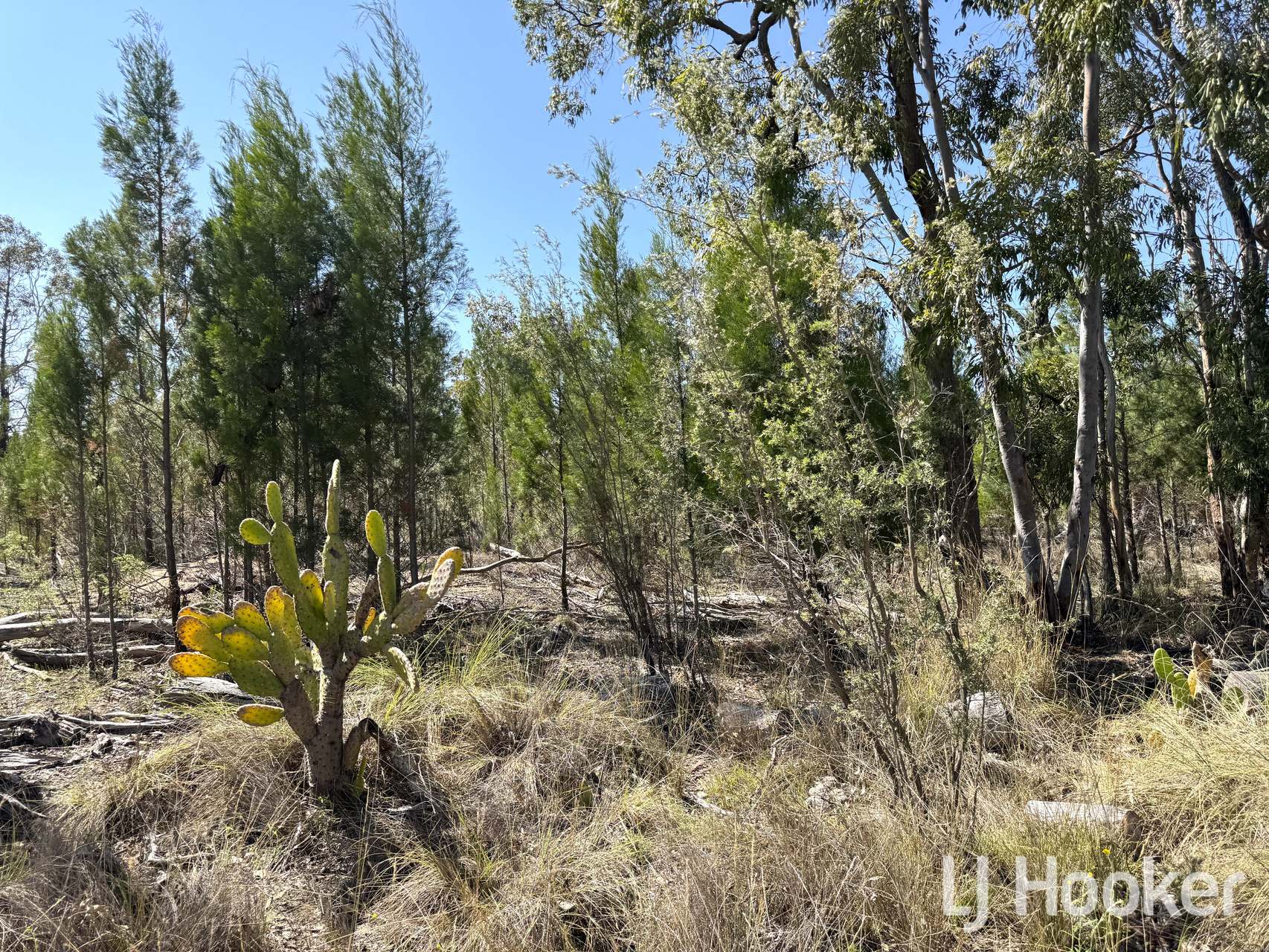 309 Haywood Road, Delungra Sold by Farmbuy.com - image 8