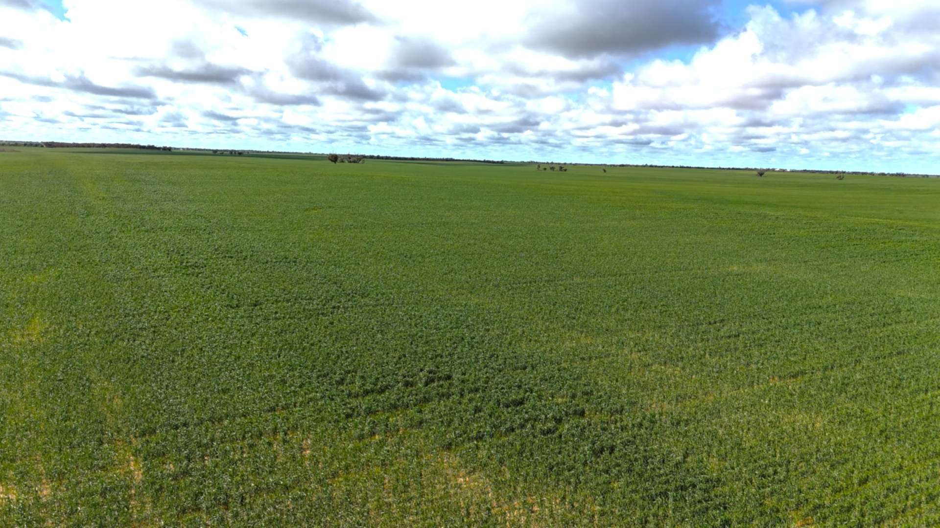 'Garel' 2494 Mallee Highway, Manangatang For Sale by Farmbuy.com - image 15